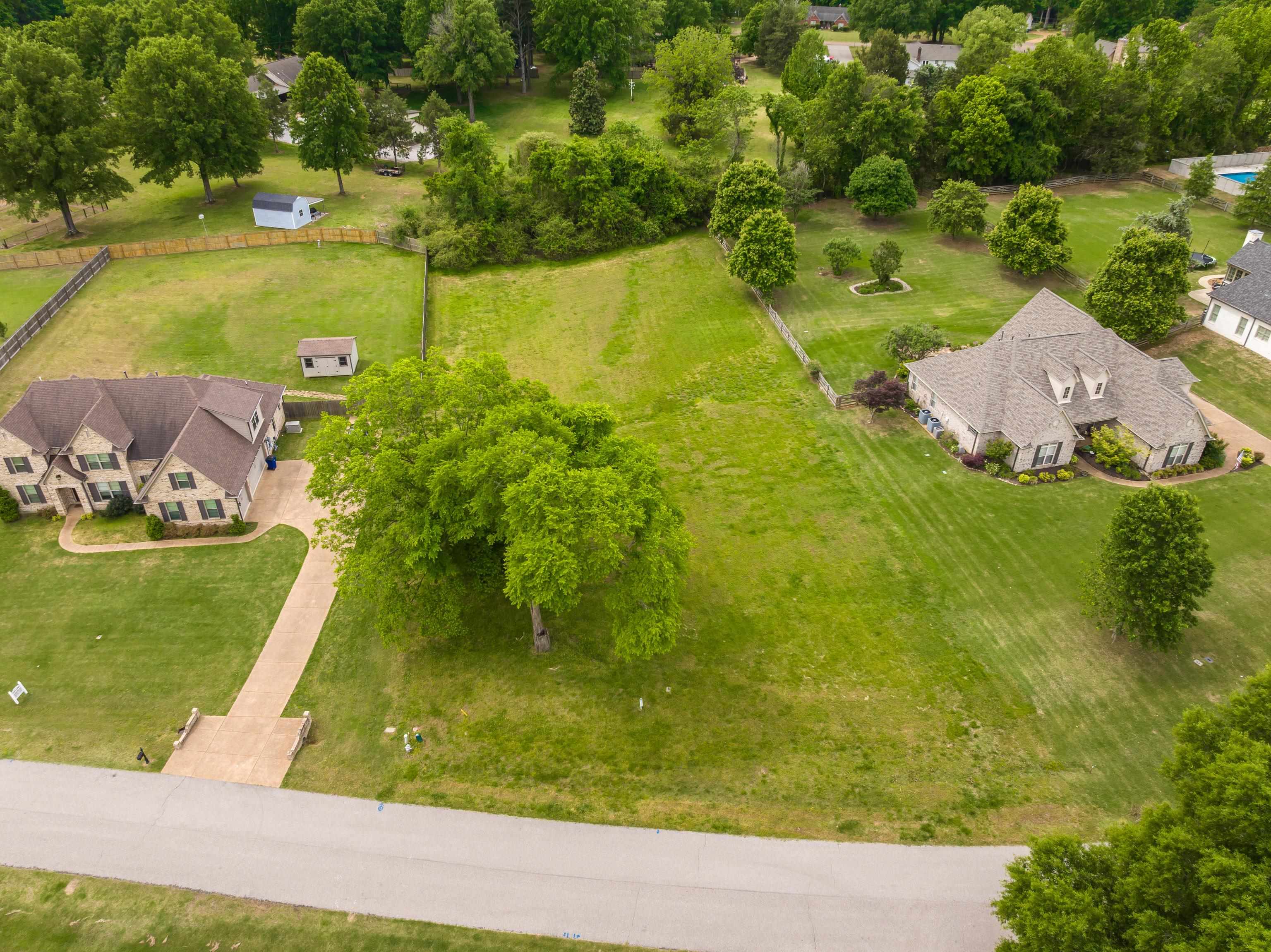 115 Cedar Hill Cv Property Photo 10