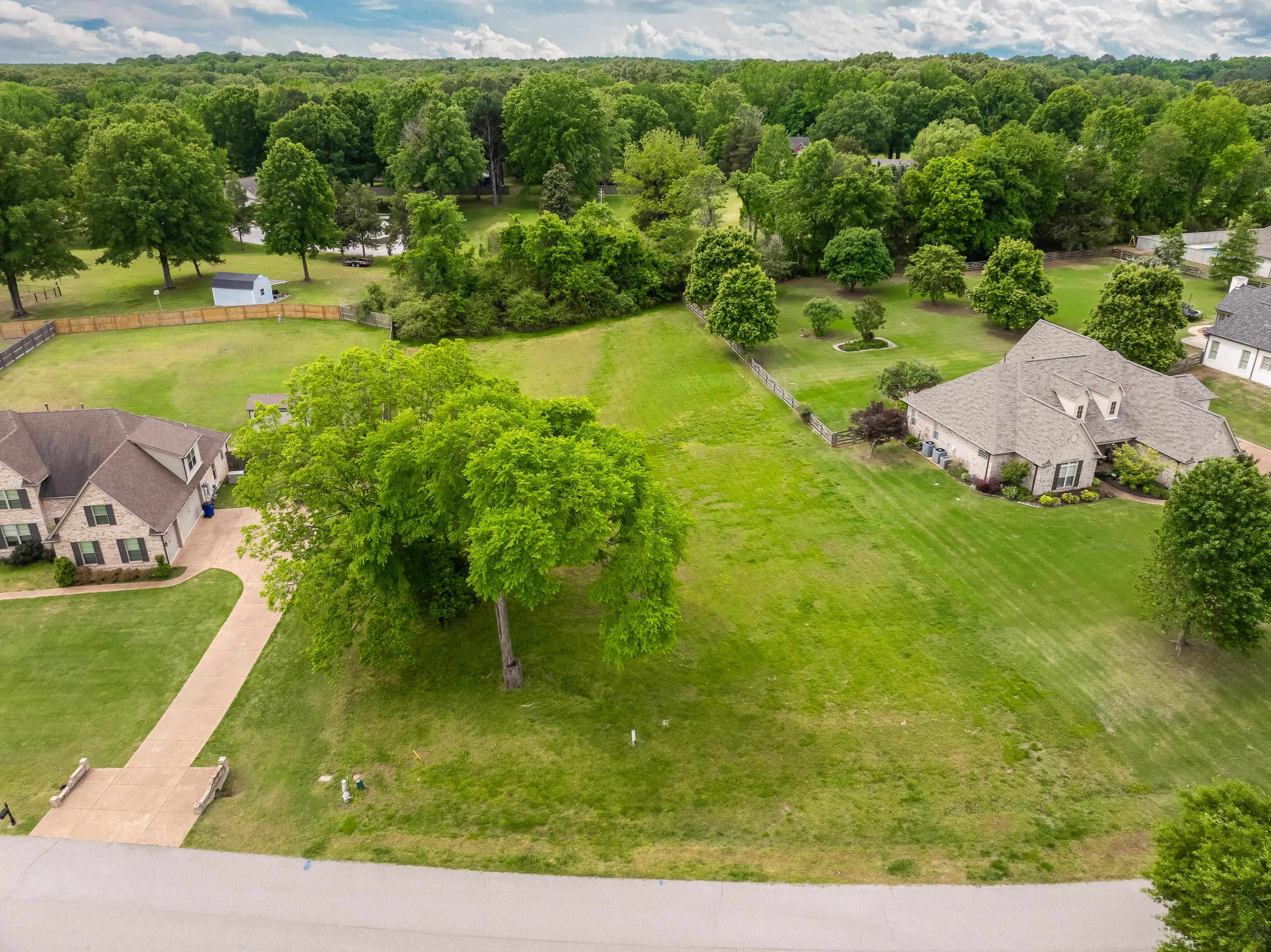 115 Cedar Hill Cv Property Photo 14