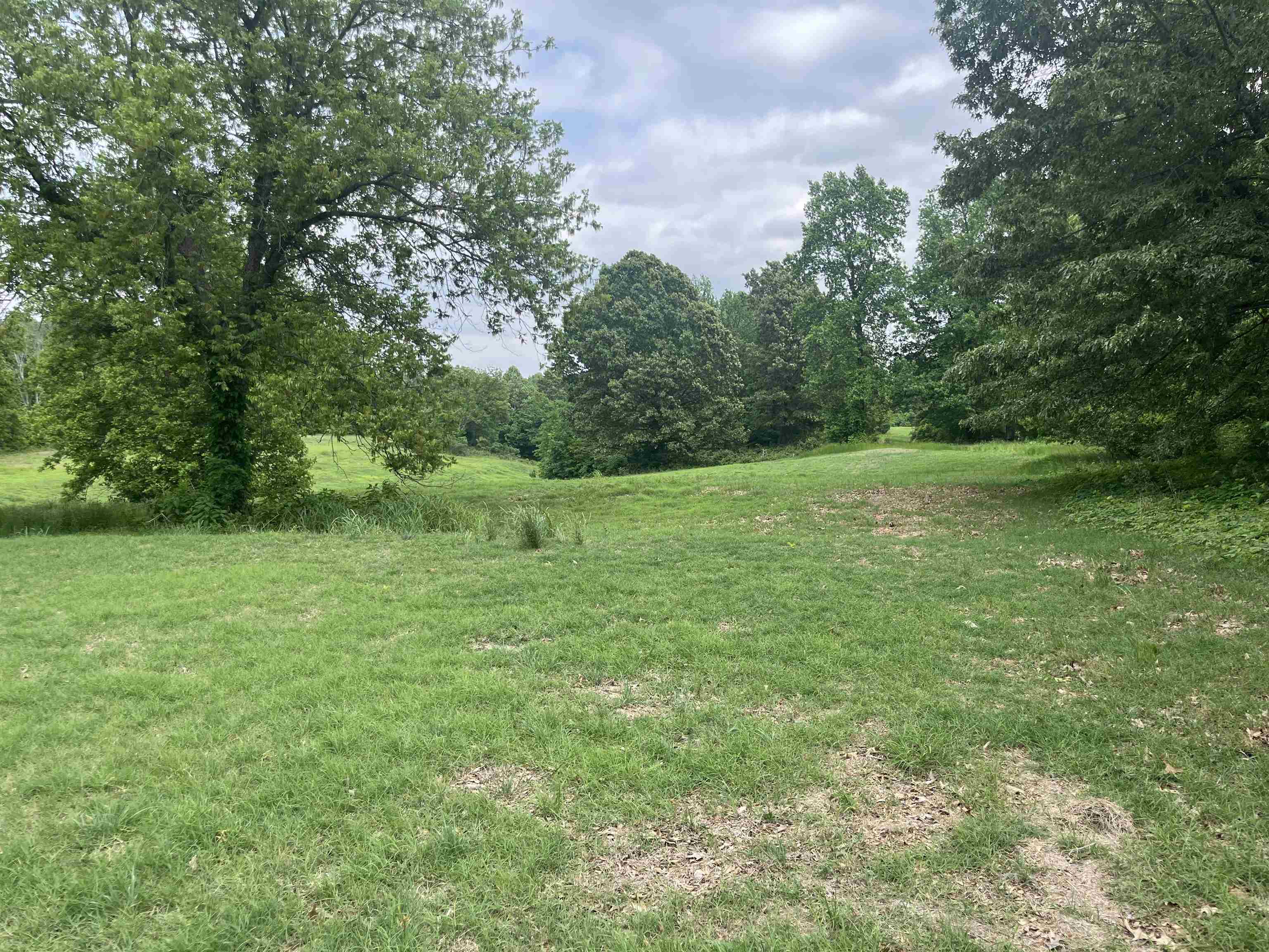 0000 Munford-giltedge Rd Property Photo 4