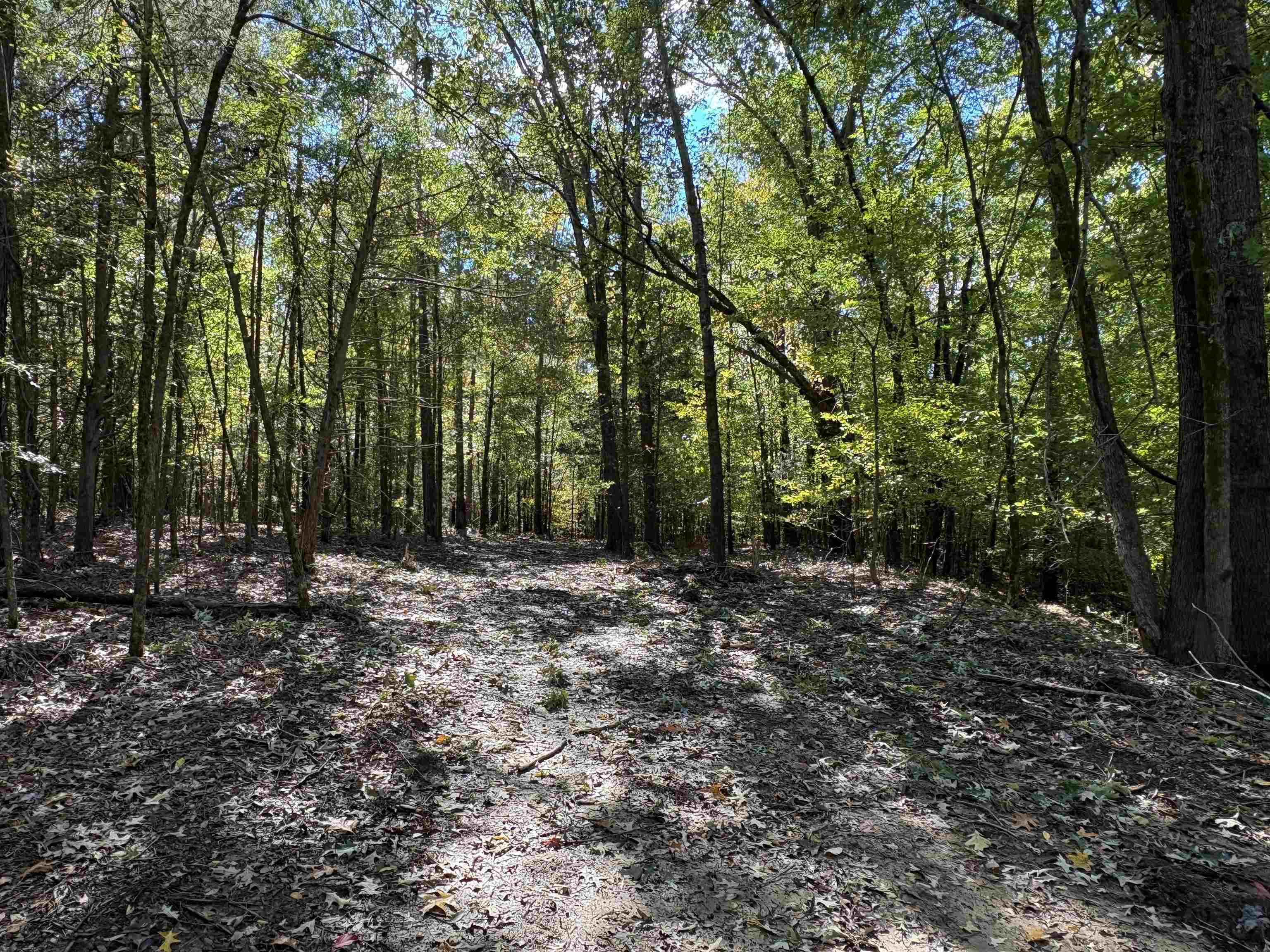 0 Mudville Rd Lot 4 Property Photo 2