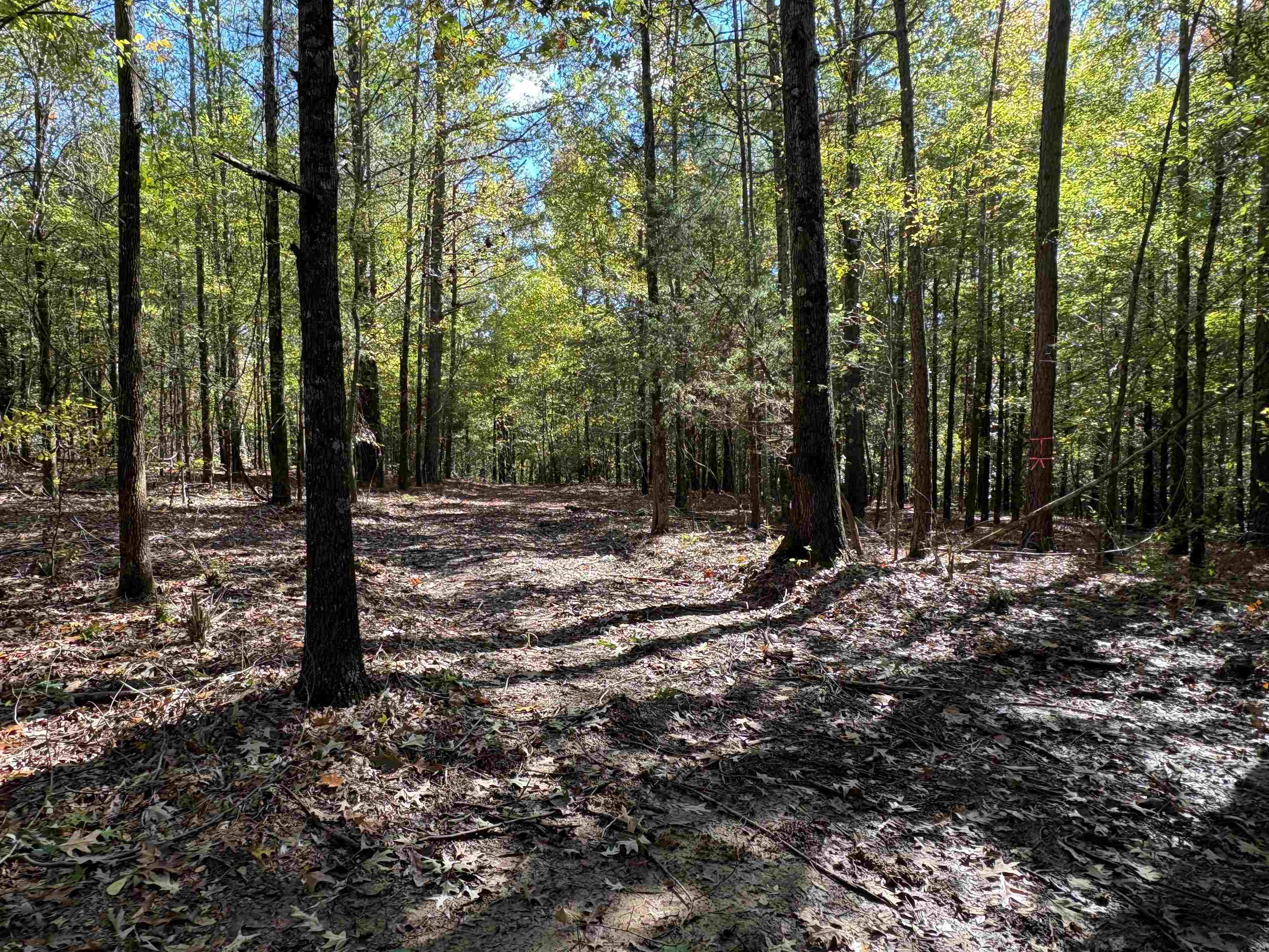 0 Mudville Rd Lot 4 Property Photo 3