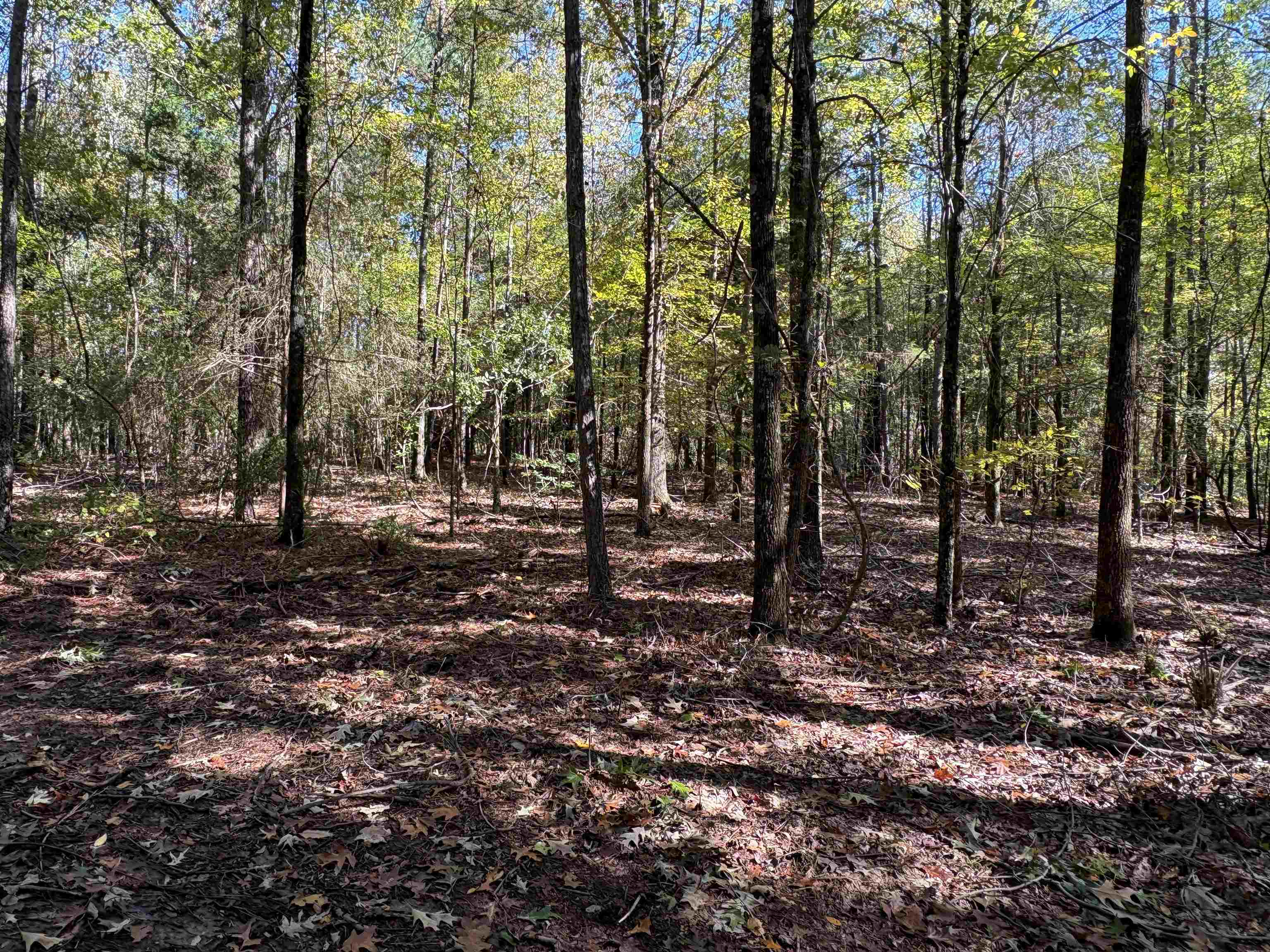 0 Mudville Rd Lot 4 Property Photo 5