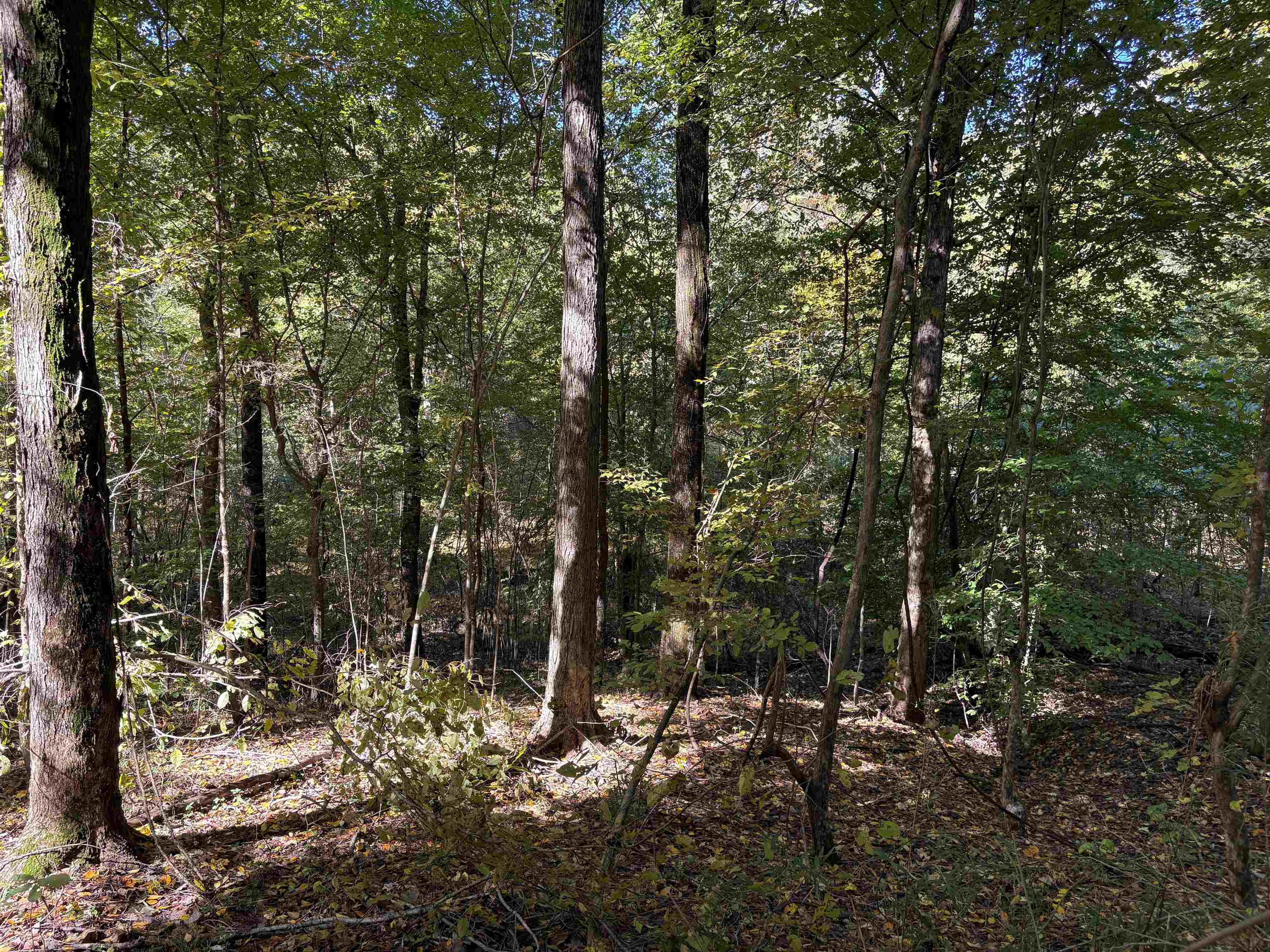 0 Mudville Rd Lot 4 Property Photo 6