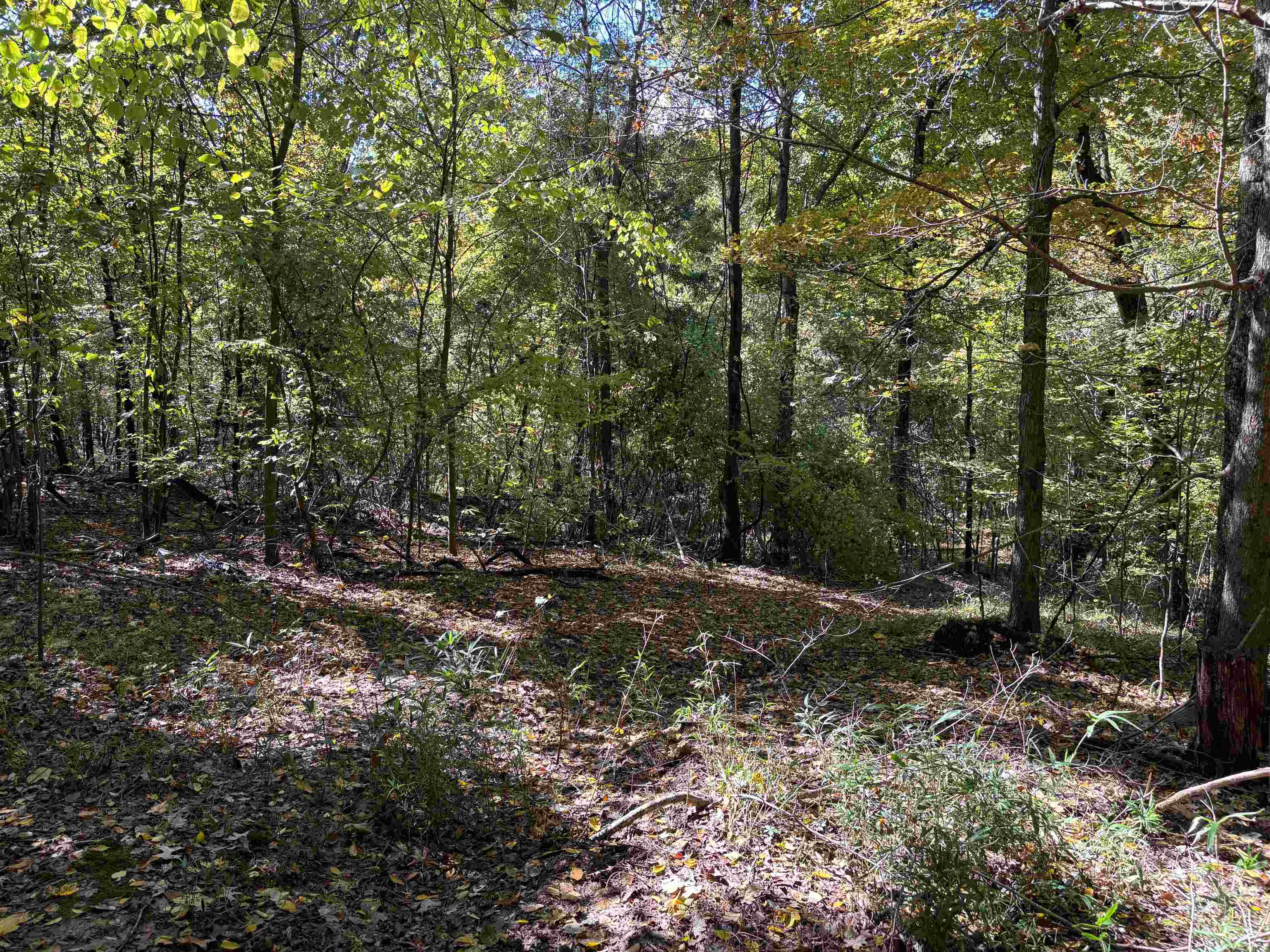 0 Mudville Rd Lot 4 Property Photo 7