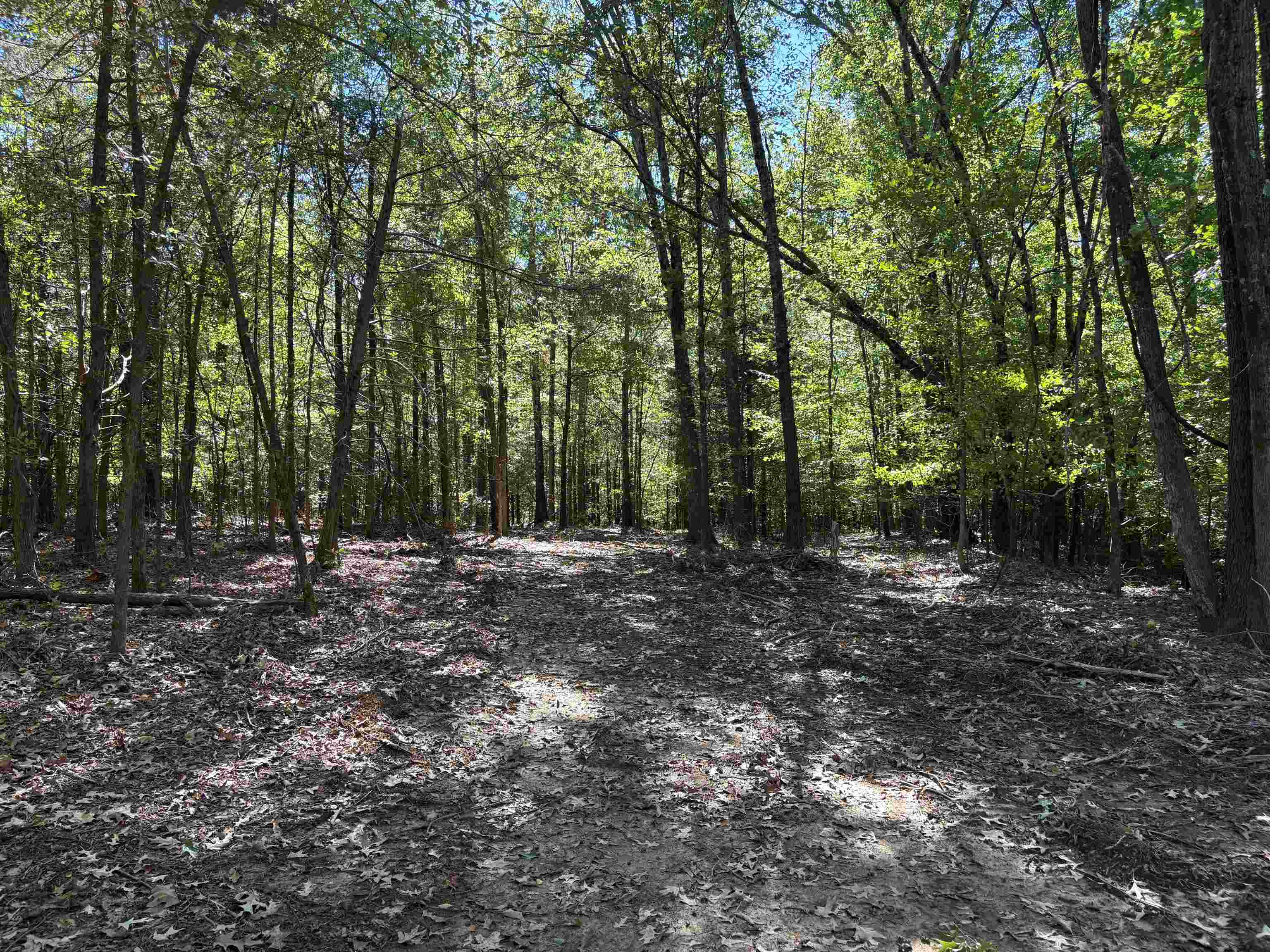 0 Mudville Rd Lot 4 Property Photo 14