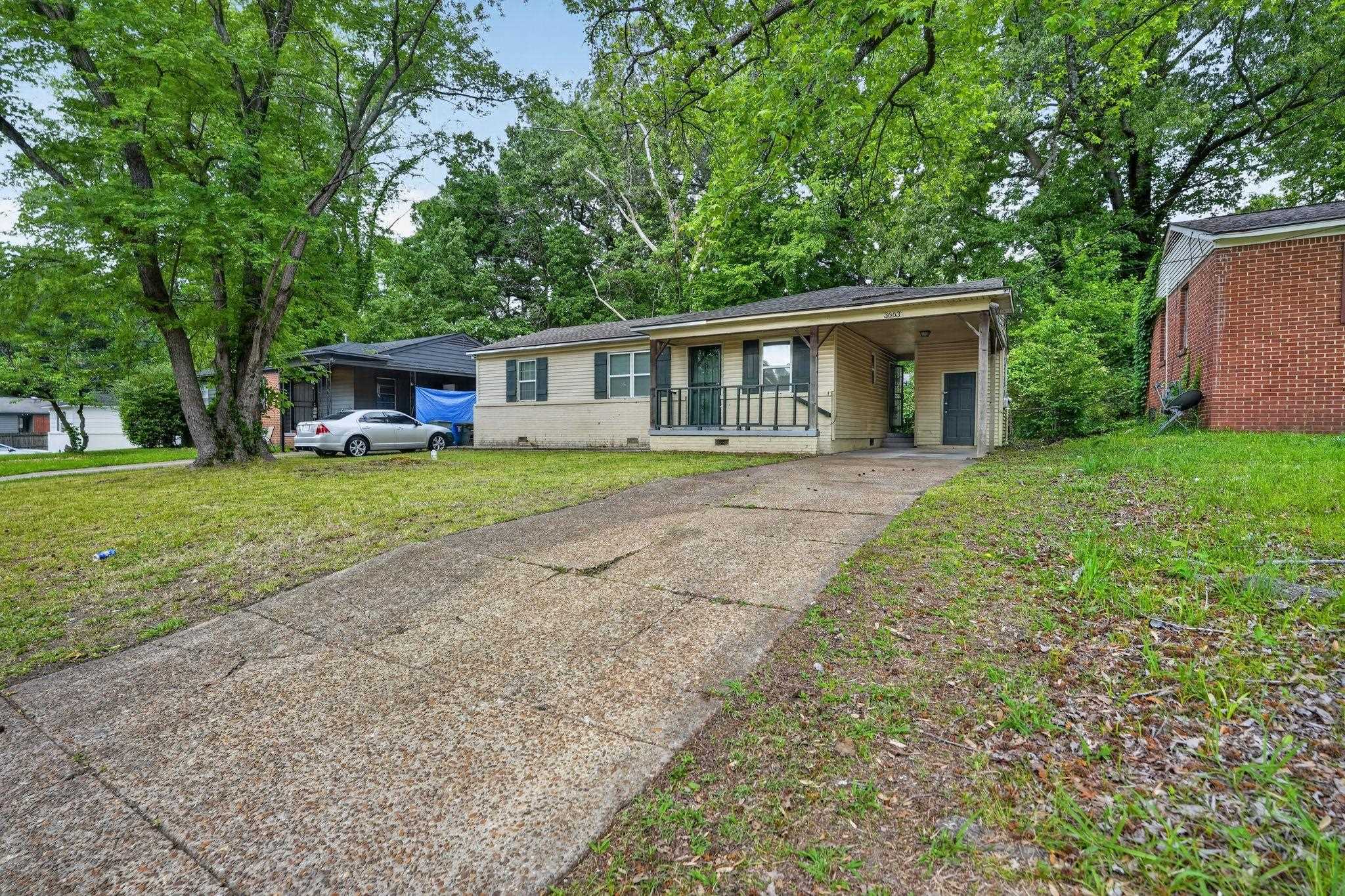 3663 Mountain Terrace St Property Photo 5