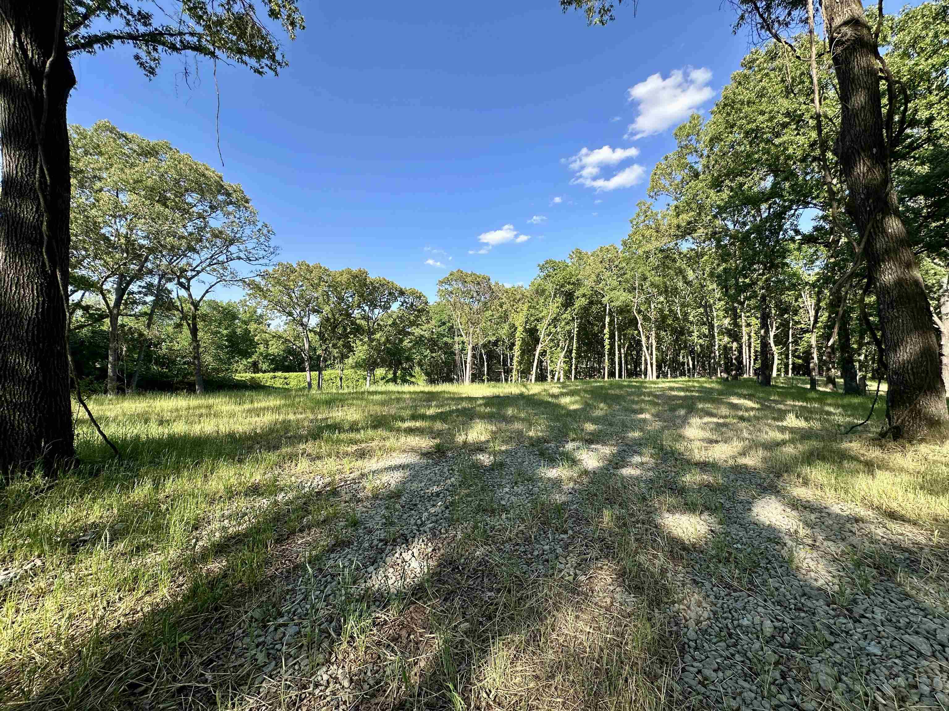 2 Dogwood Rd Property Photo 6
