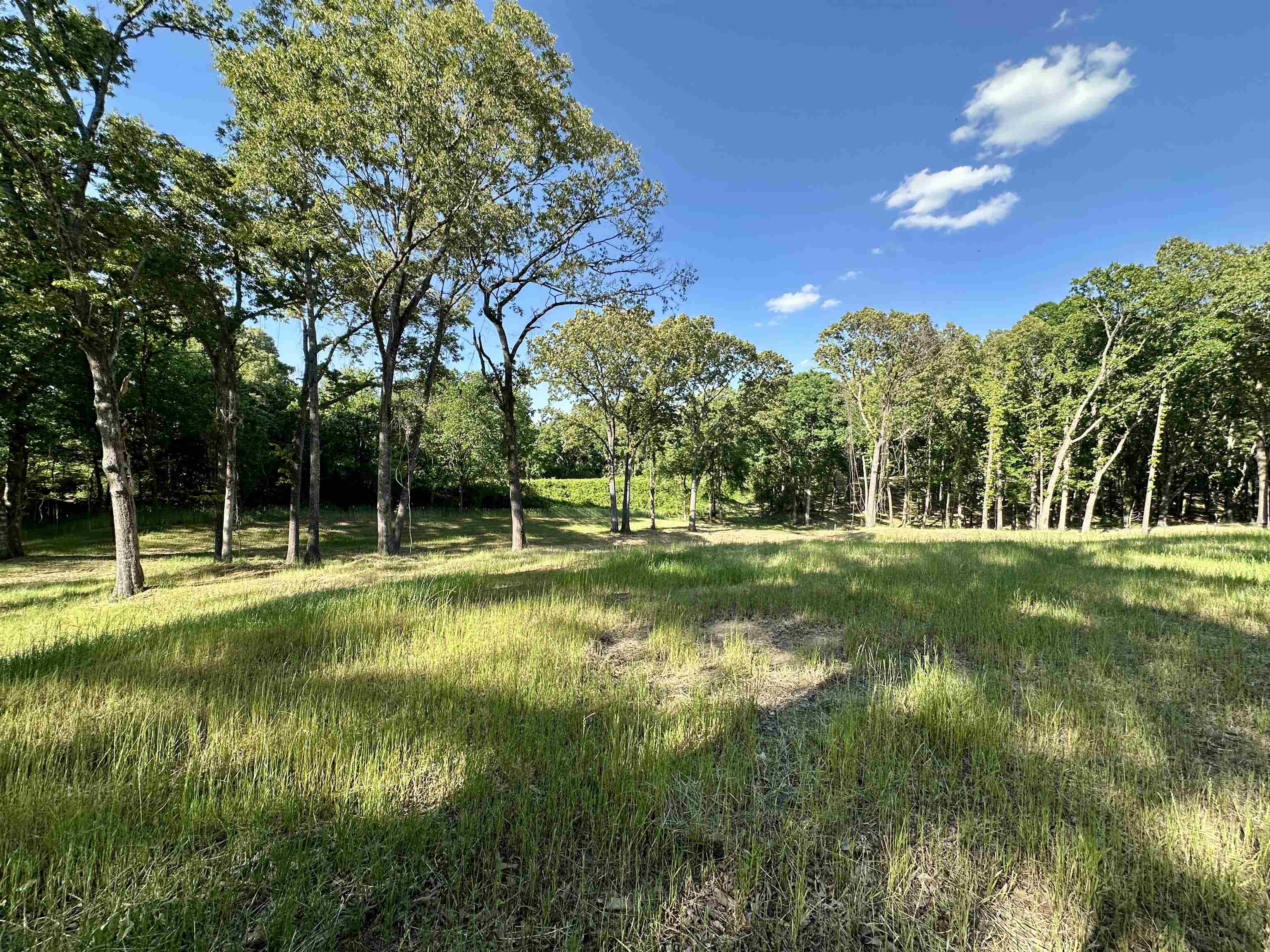 2 Dogwood Rd Property Photo 8