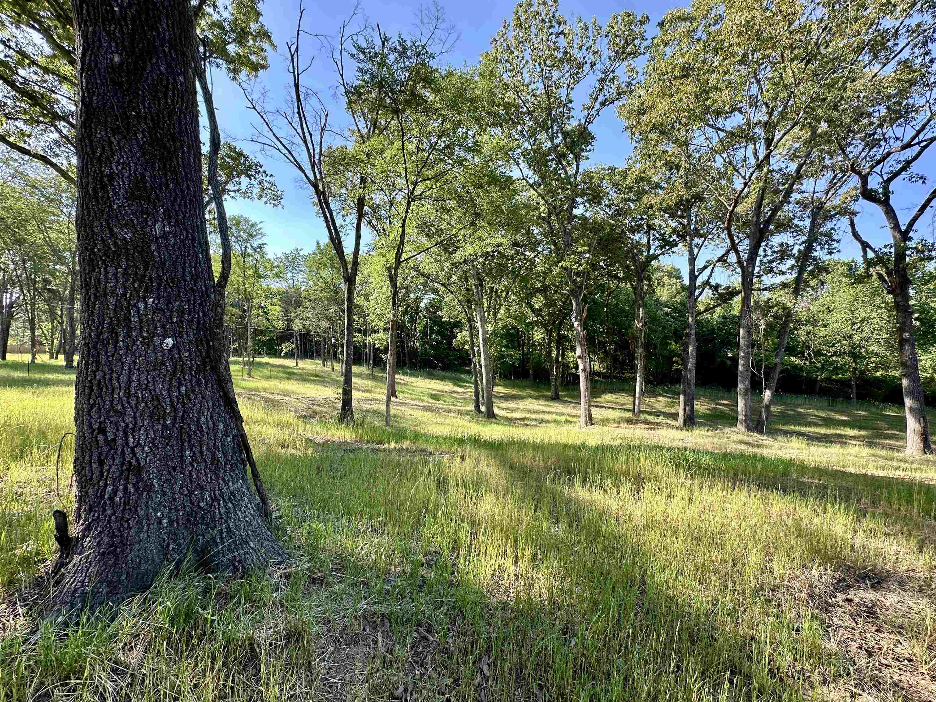 2 Dogwood Rd Property Photo 10