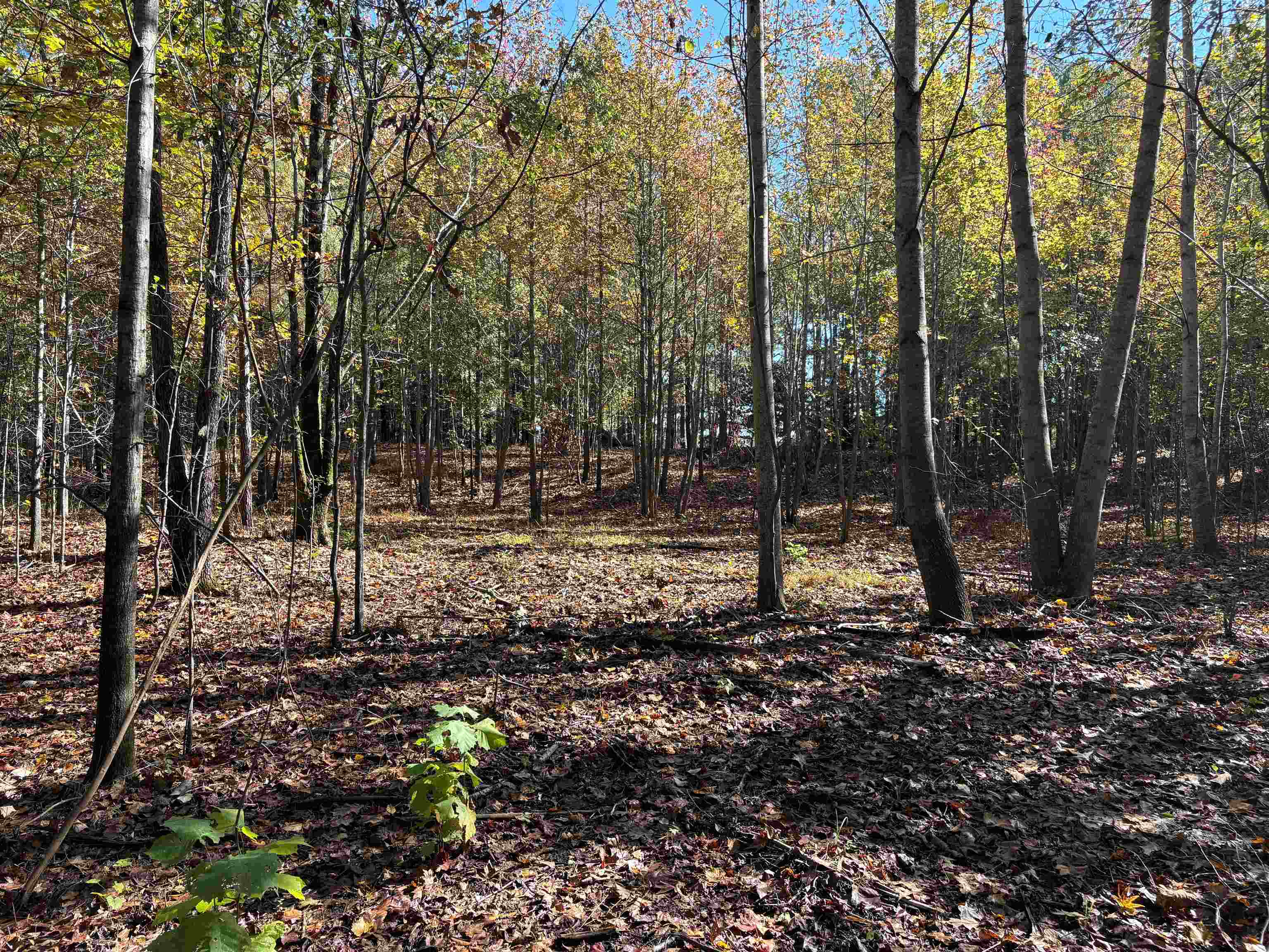 0 Bethuel Rd 11 Property Photo 9