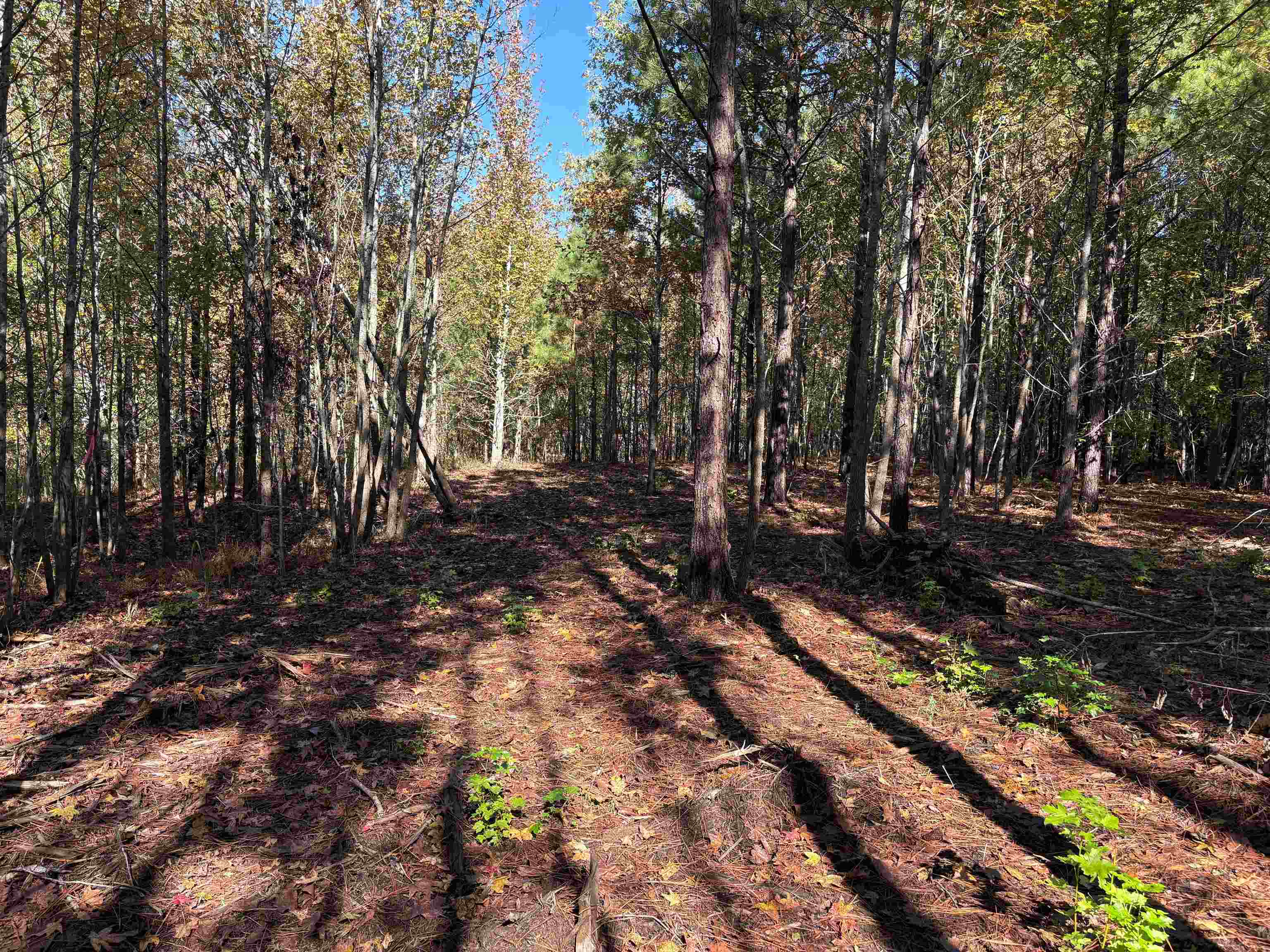 0 Bethuel Rd 13 Property Photo 7