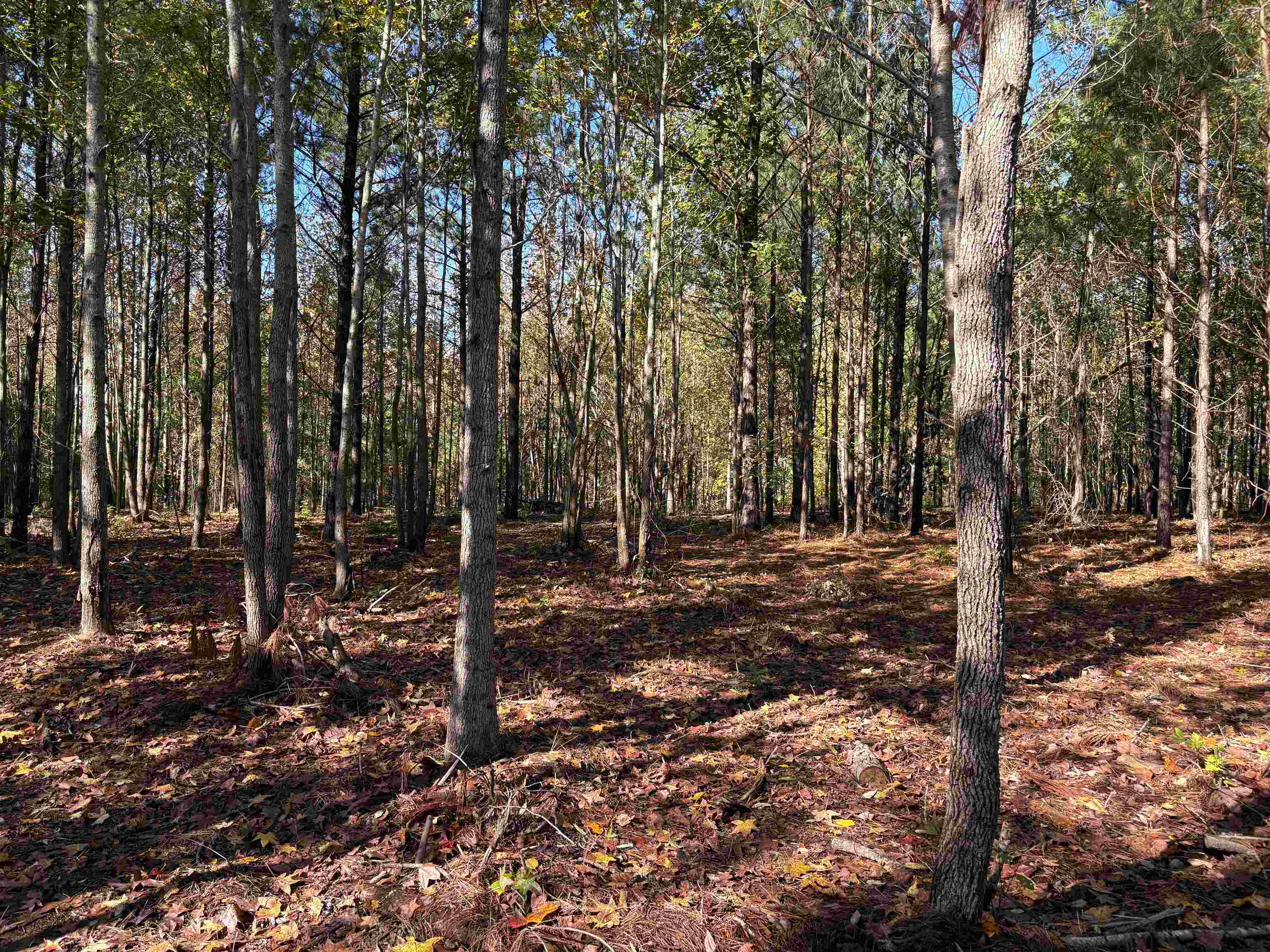 0 Bethuel Rd 13 Property Photo 8