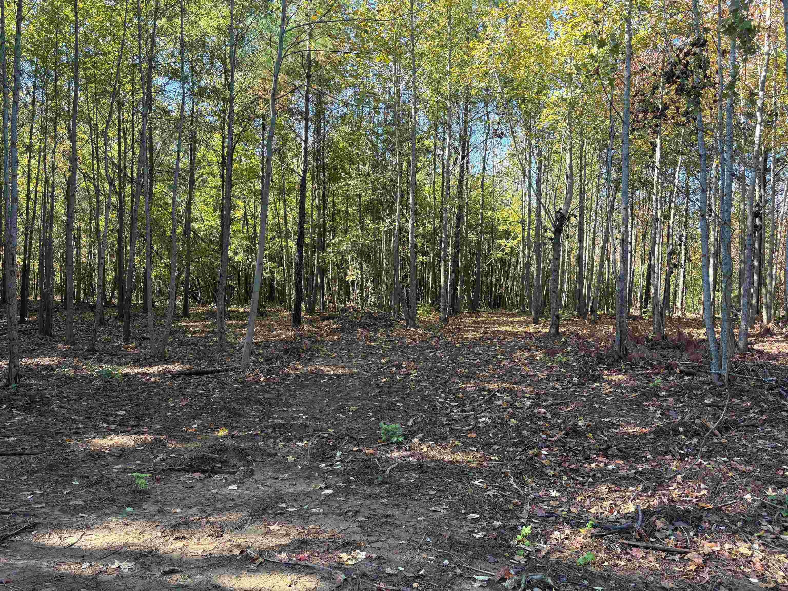 0 Bethuel Rd 13 Property Photo 9