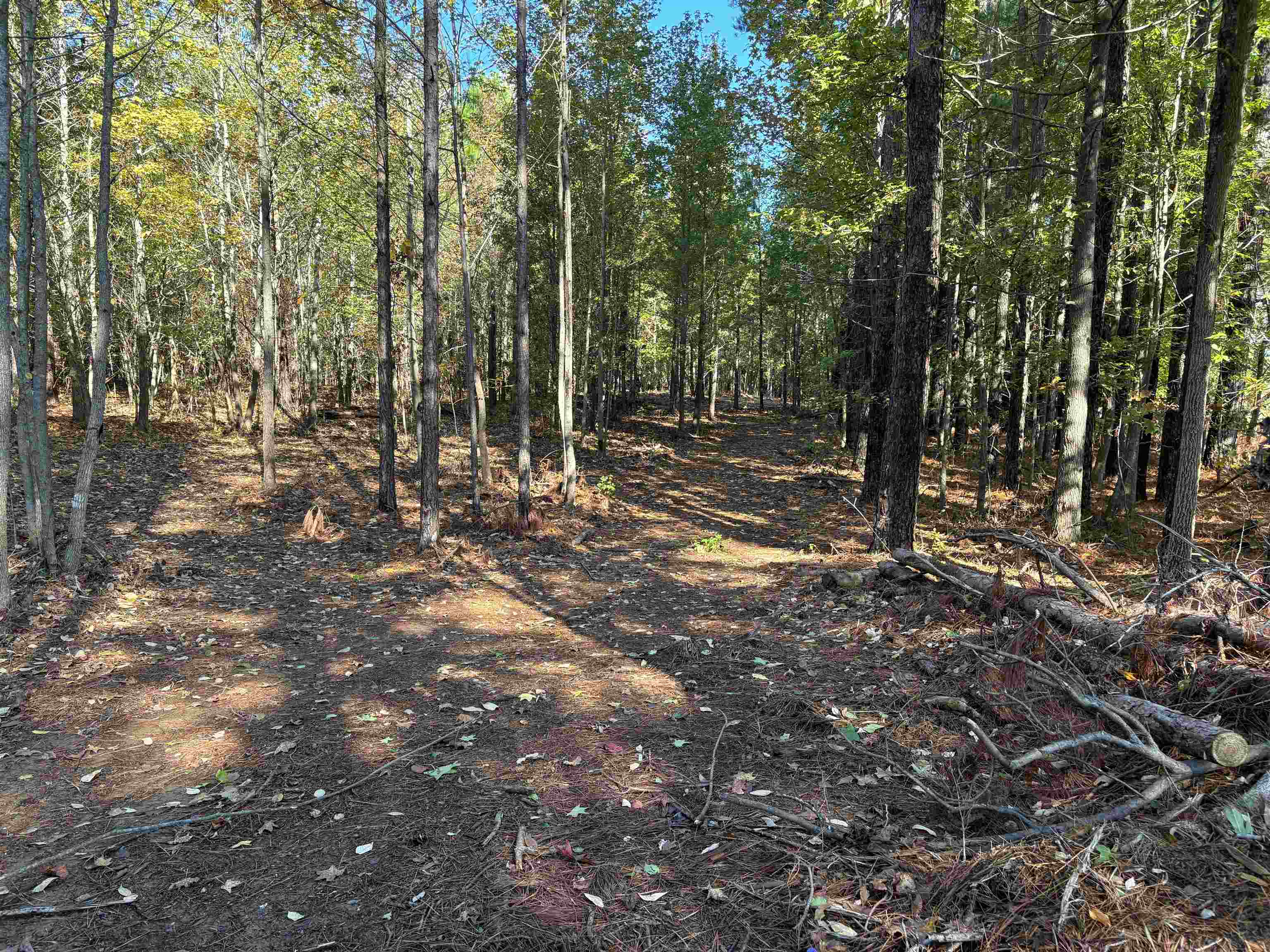 0 Bethuel Rd 13 Property Photo 10