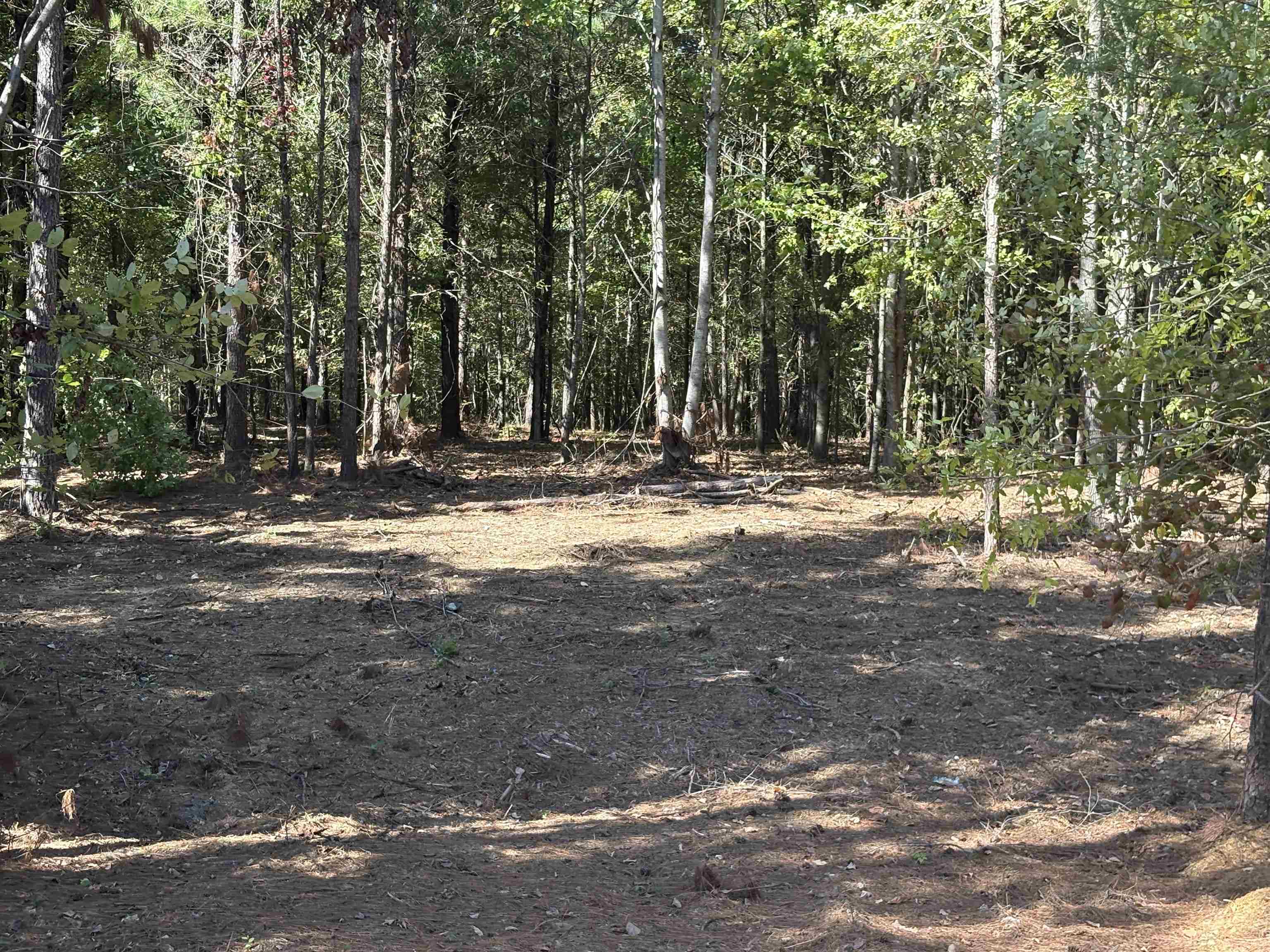 0 Bethuel Rd 14 Property Photo 6