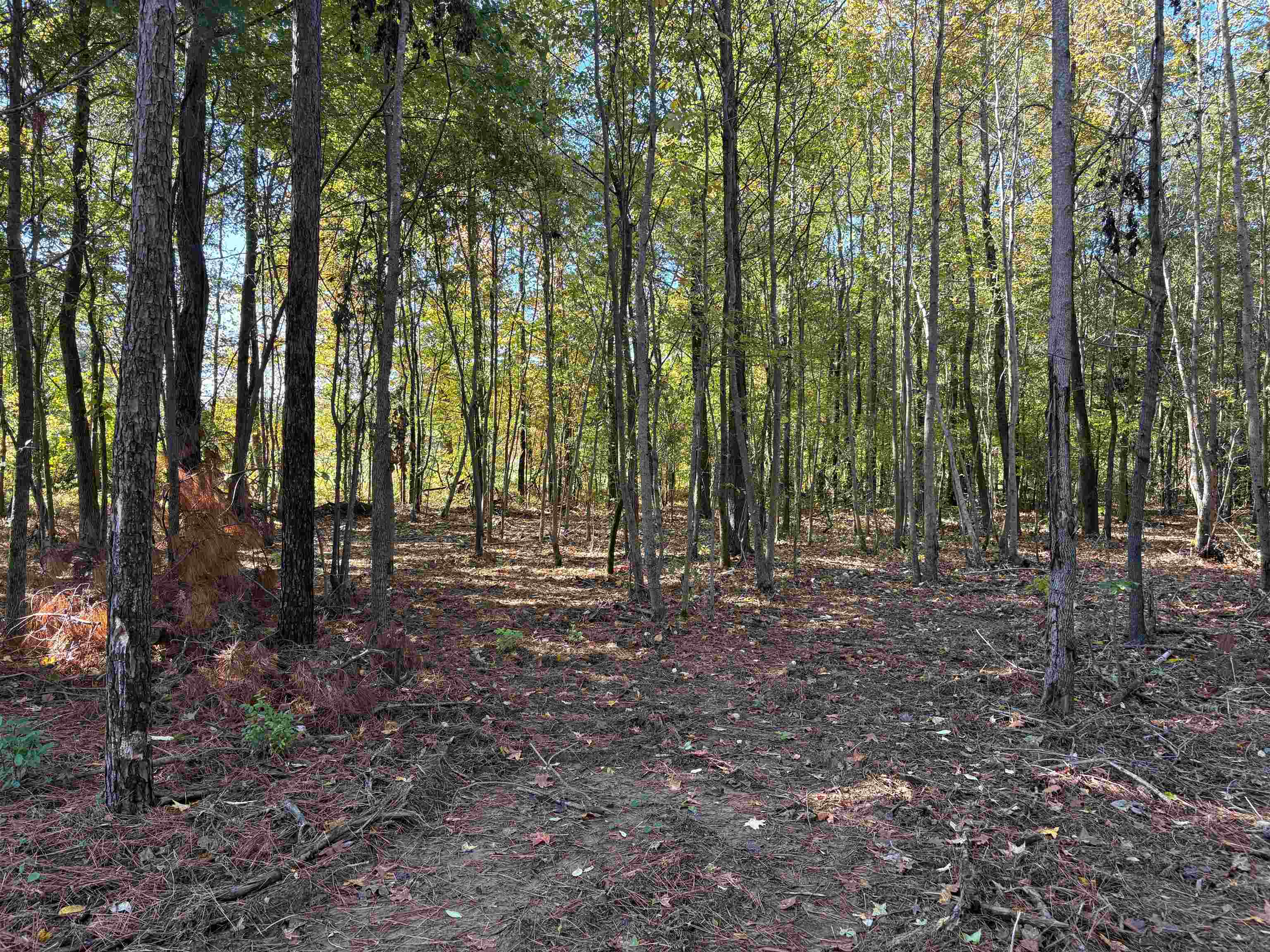 0 Bethuel Rd 14 Property Photo 7