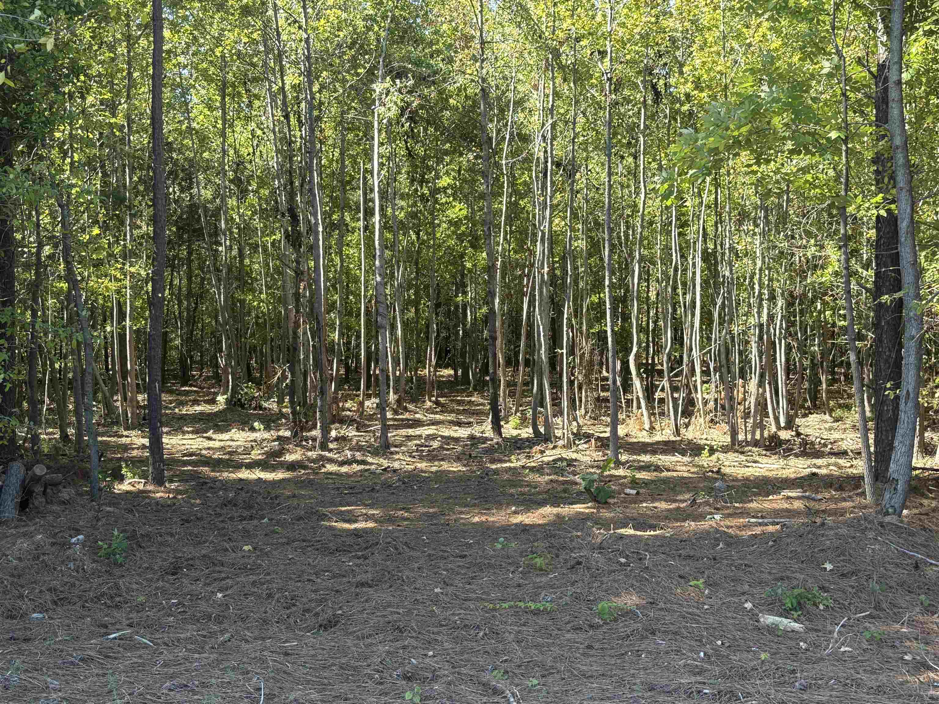 0 Bethuel Rd 14 Property Photo 9