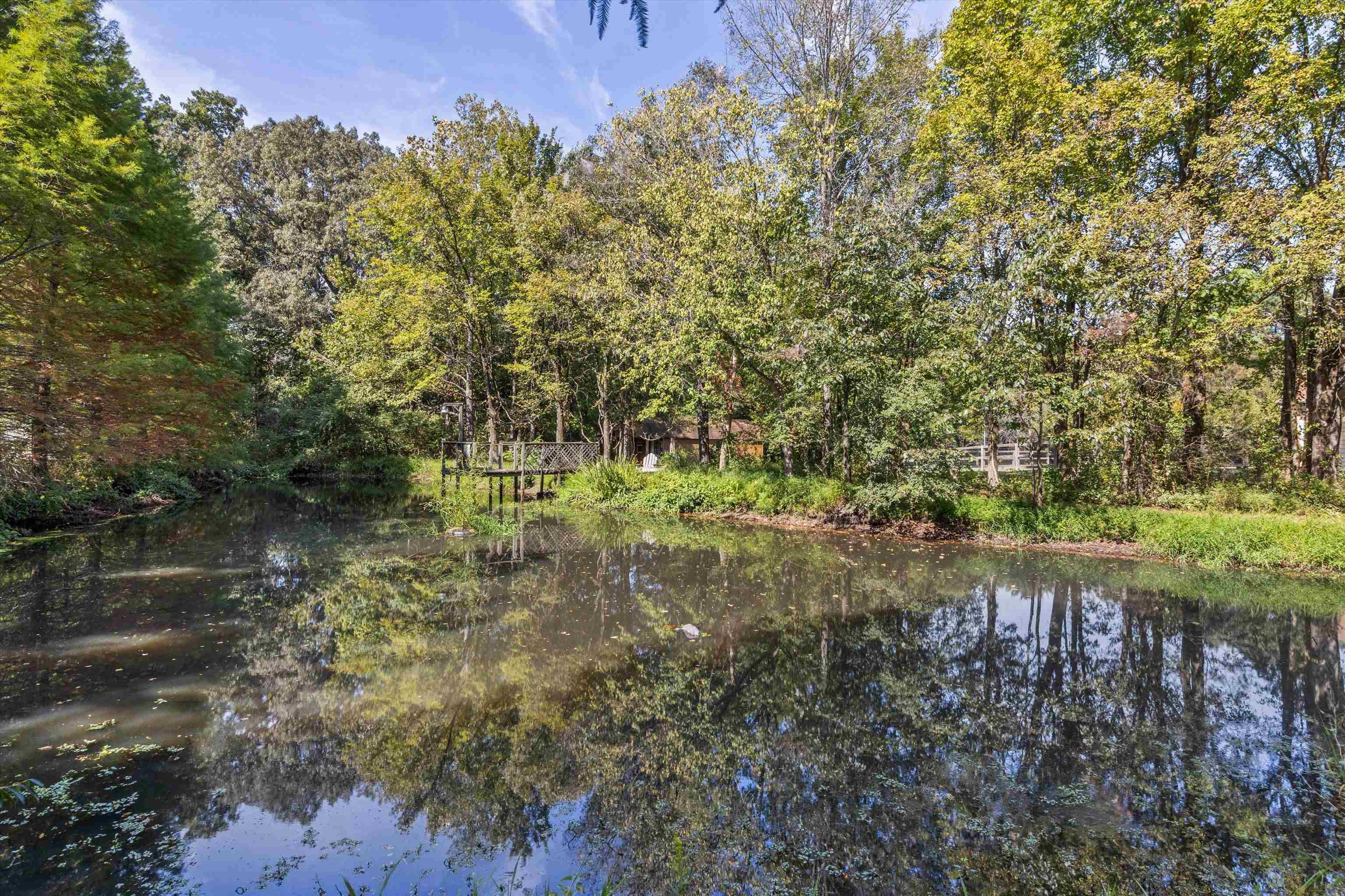 365 Crooked Creek Dr Property Photo 12