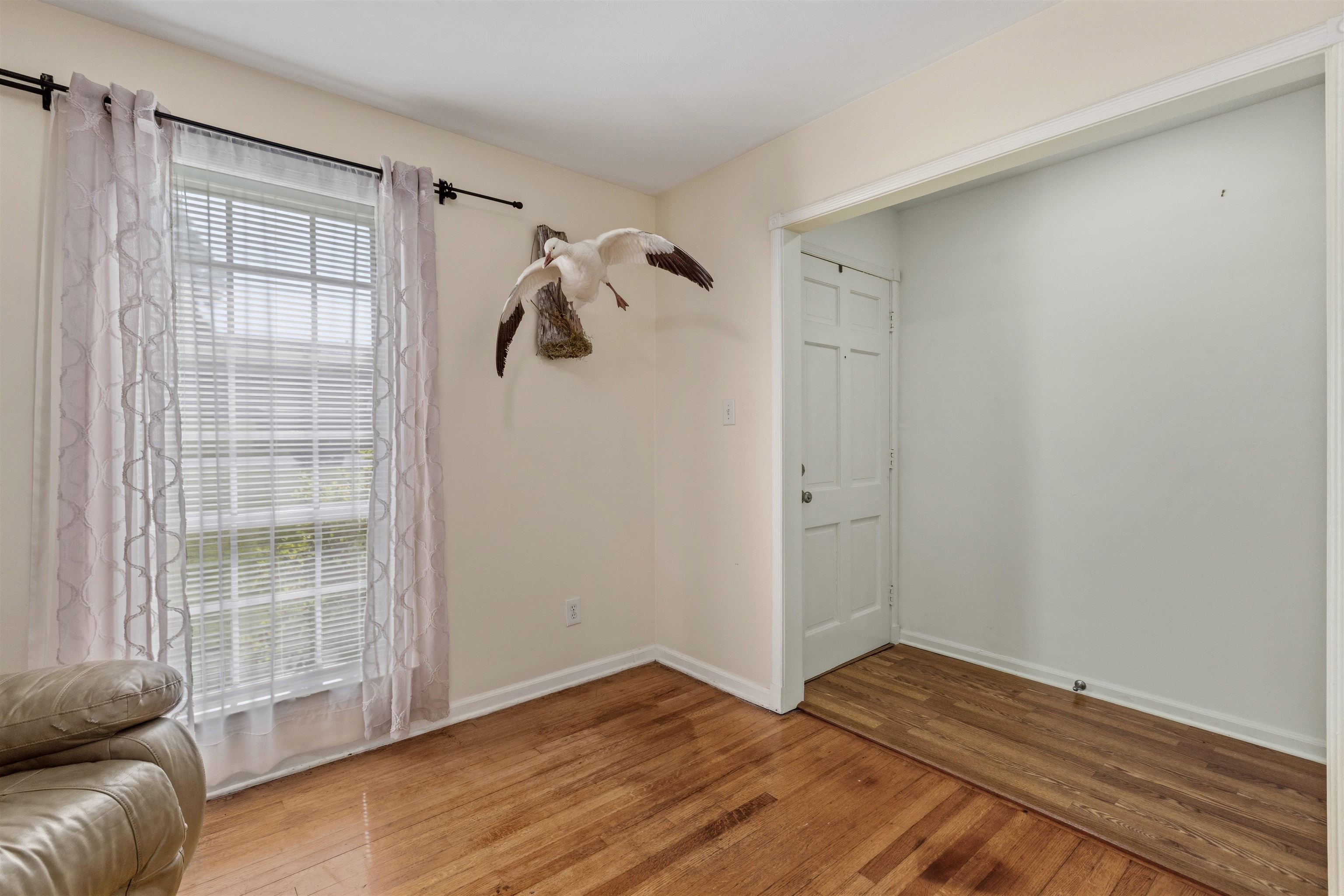 3379 Canyon Rd Property Photo 5