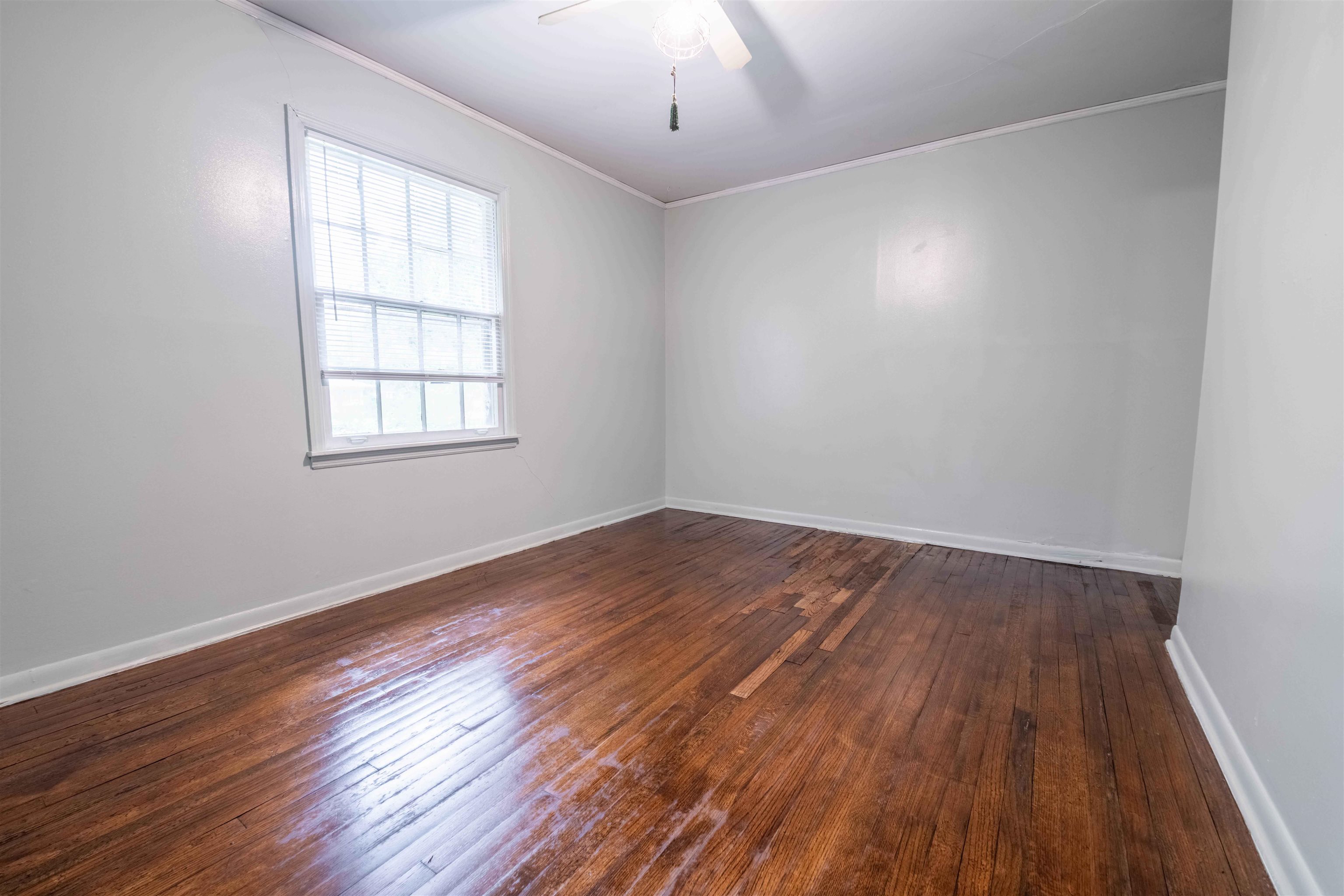 4265 Tutwiler Ave Property Photo 25