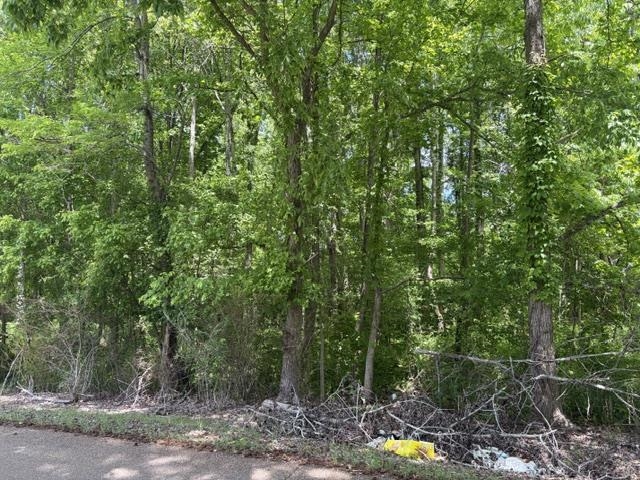 LIBERTY RD Property Photo 1