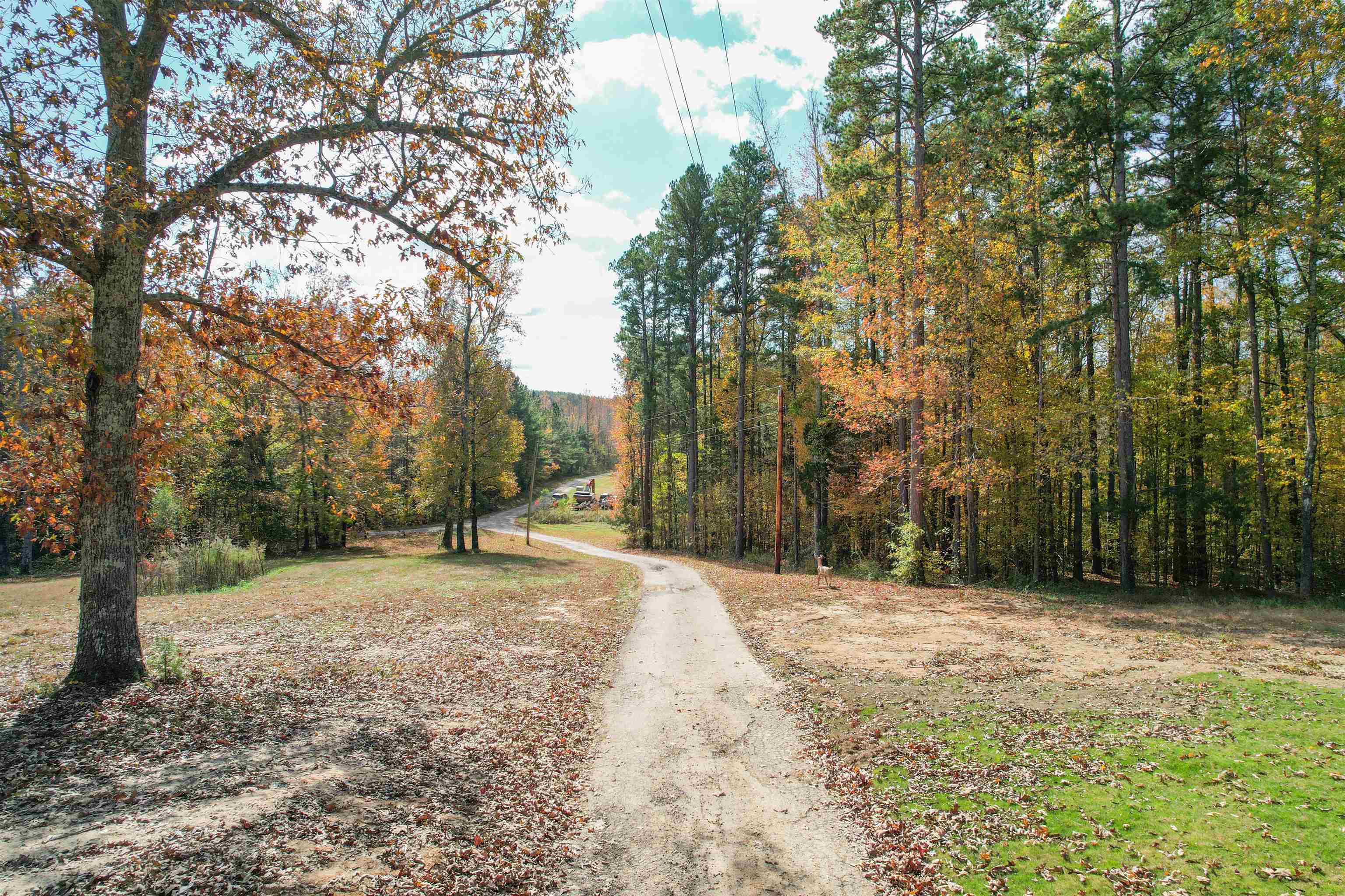 20835 Highway 64 Hwy Property Photo 16