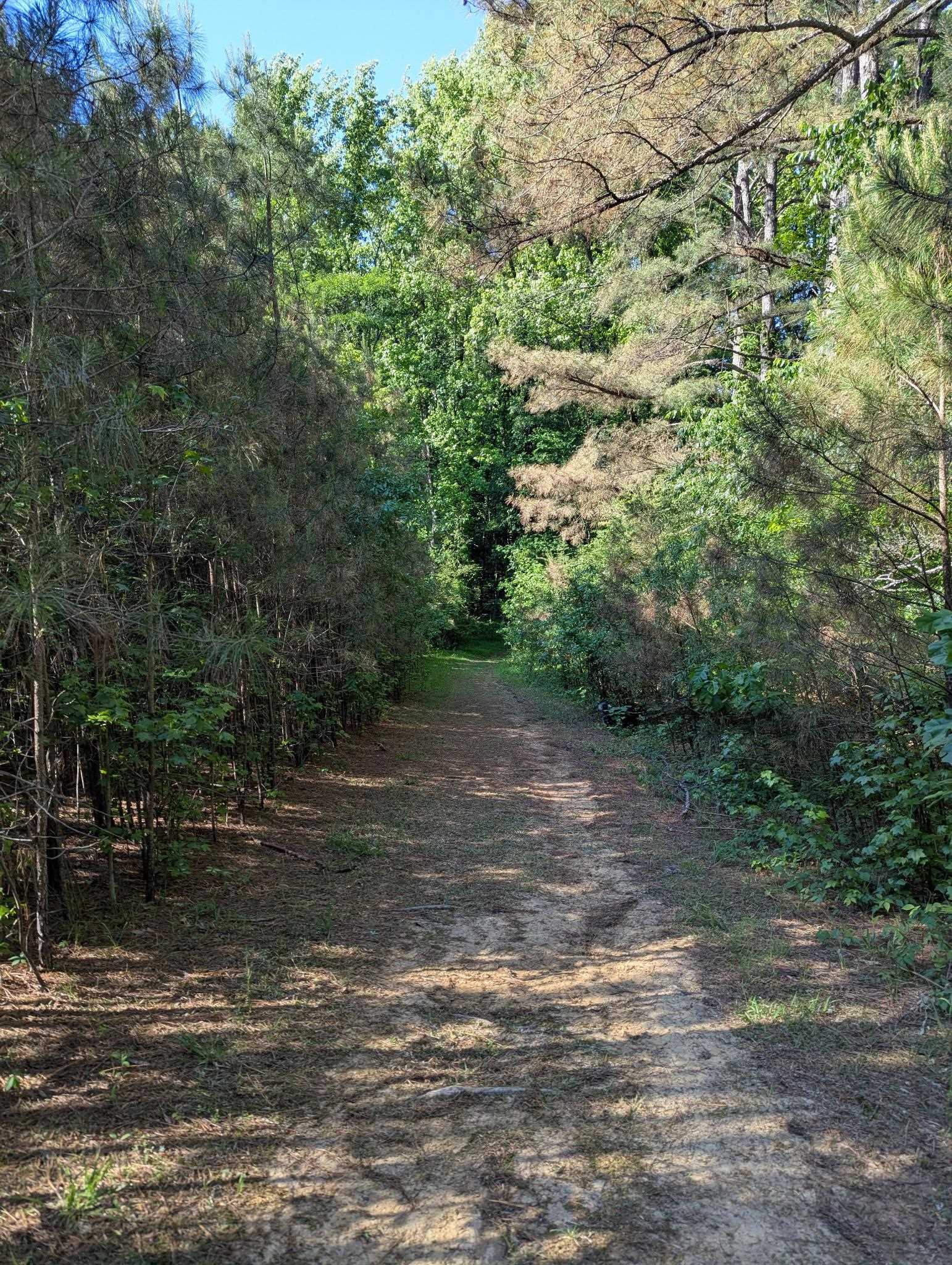 8651 Baylor Rd Property Photo 19