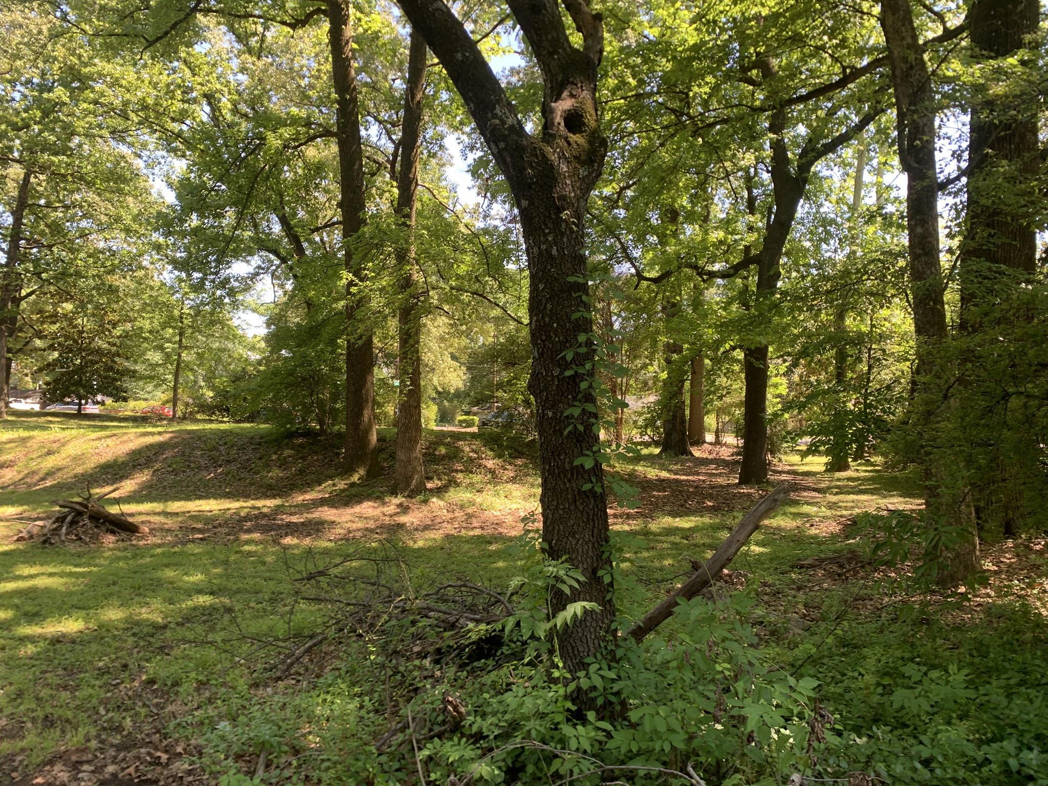 901 S Perkins Rd S Property Photo 11