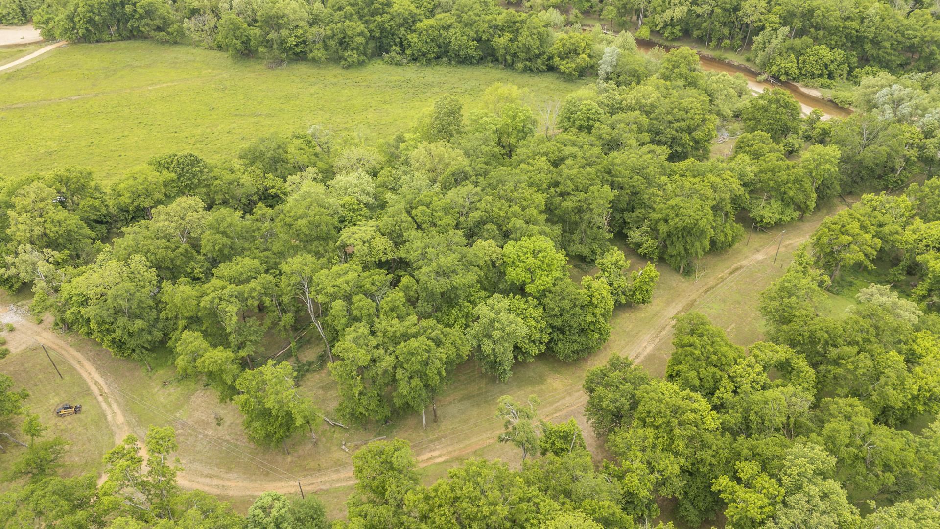 Buffalo River Rd Property Photo 11