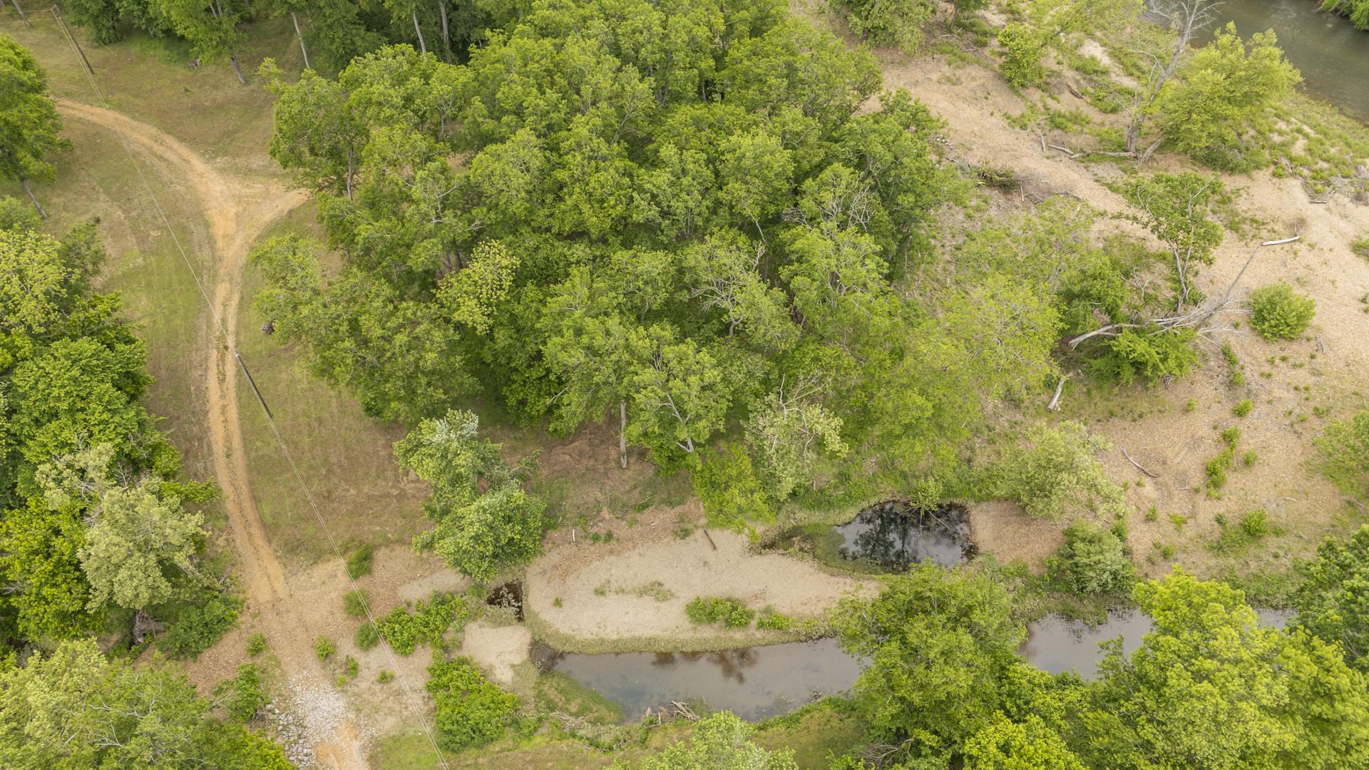Buffalo River Rd Property Photo 14