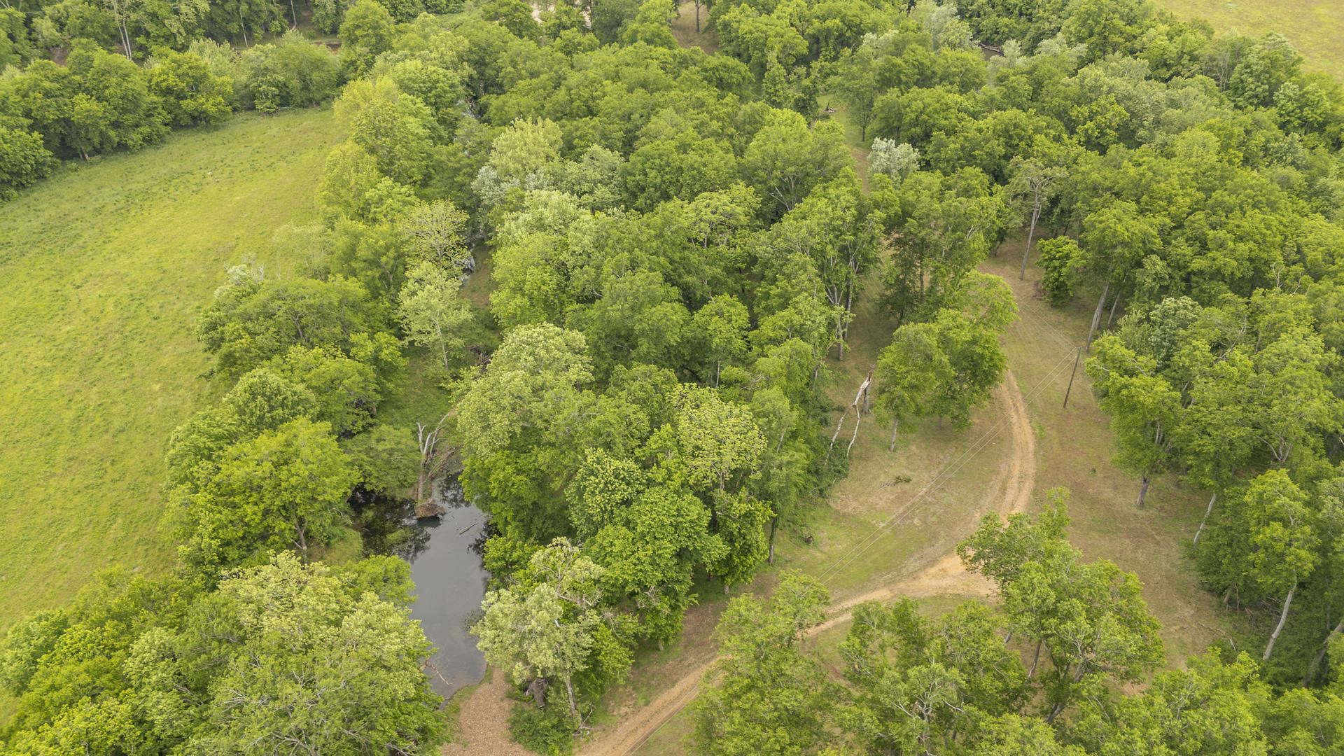 Buffalo River Rd Property Photo 15