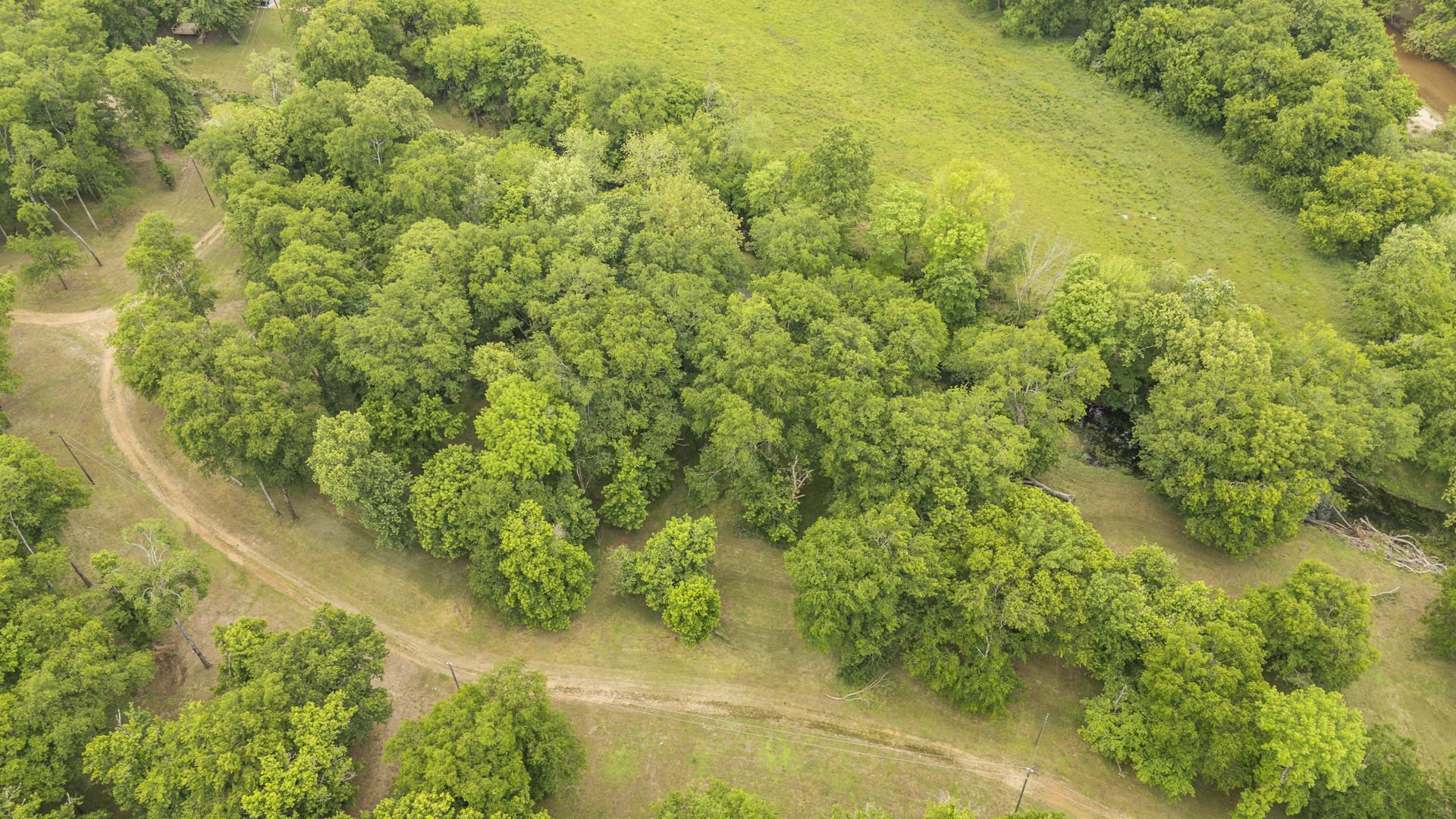 Buffalo River Rd Property Photo 17