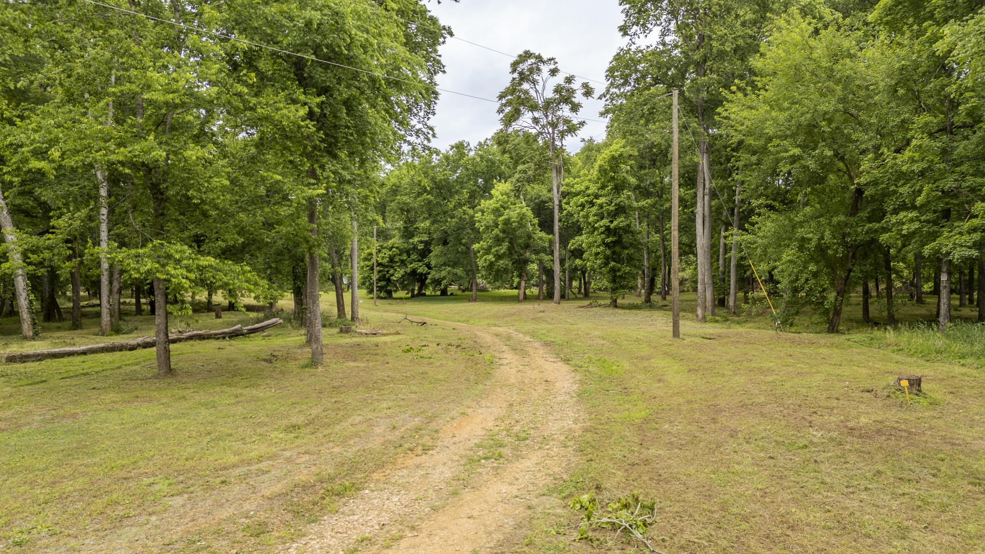 Buffalo River Rd Property Photo 19