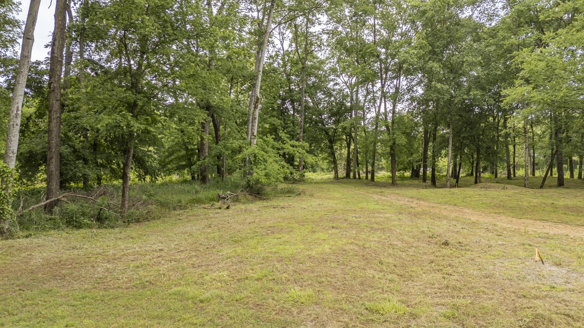 Buffalo River Rd Property Photo 20