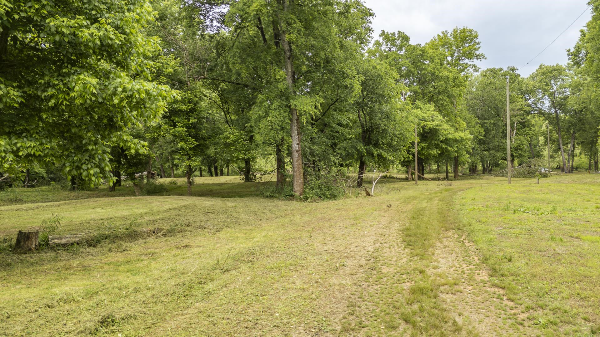 Buffalo River Rd Property Photo 25