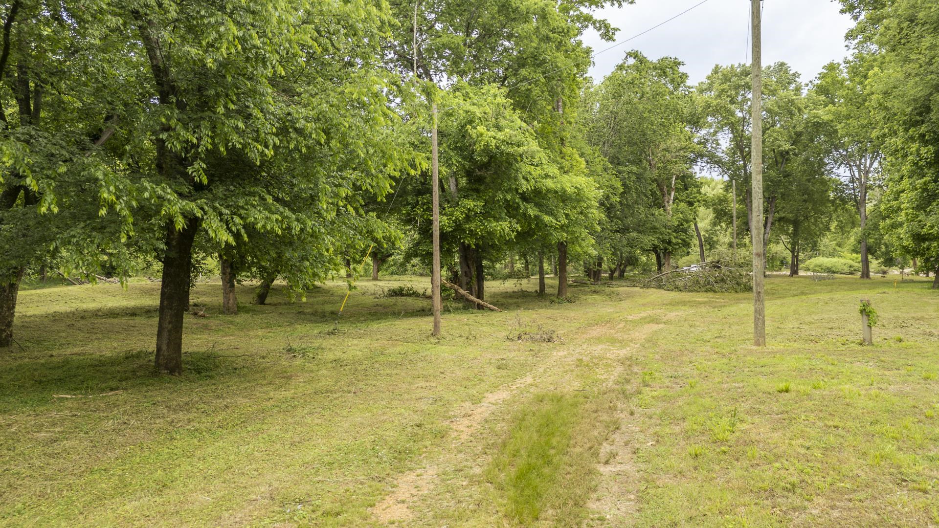 Buffalo River Rd Property Photo 26