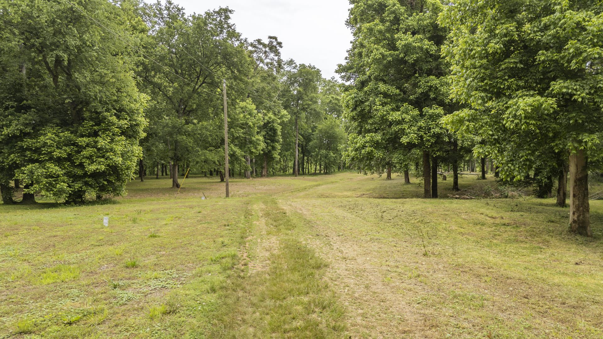 Buffalo River Rd Property Photo 27