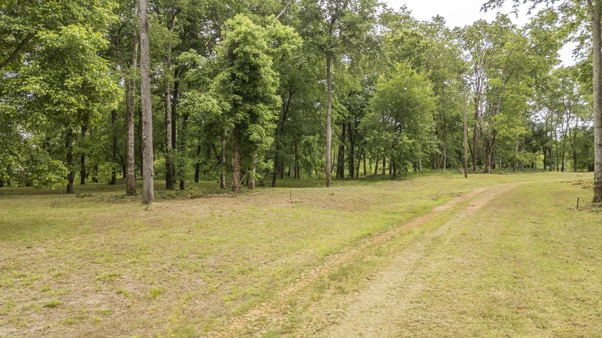 Buffalo River Rd Property Photo 29