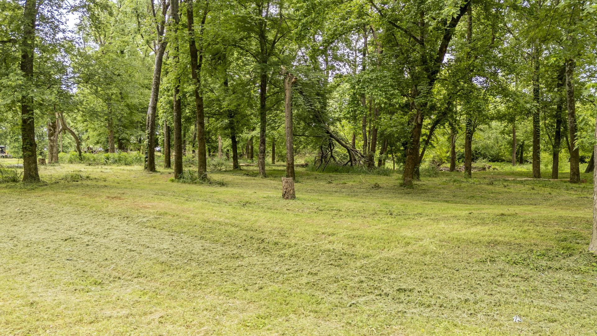 Buffalo River Rd Property Photo 30