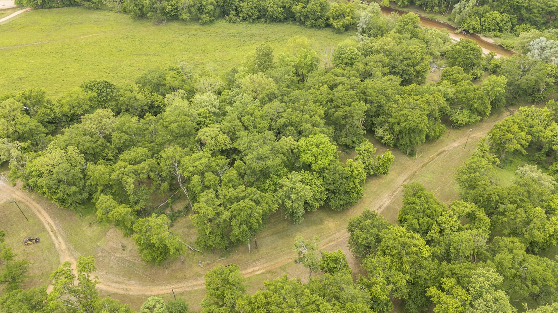 Buffalo River Rd Property Photo 34