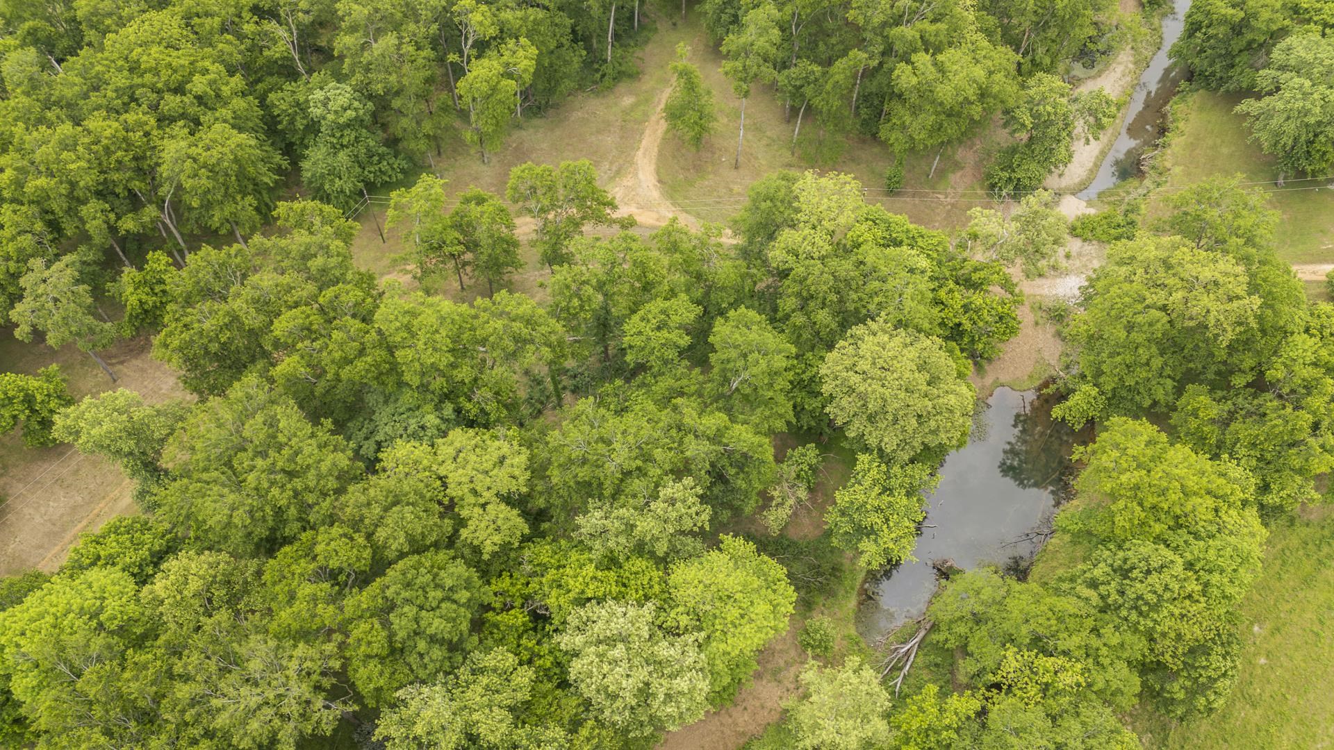 Buffalo River Rd Property Photo 36