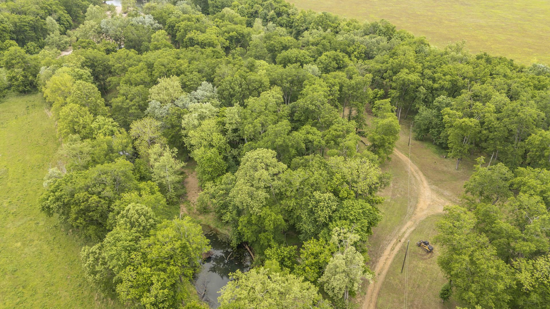 Buffalo River Rd Property Photo 37