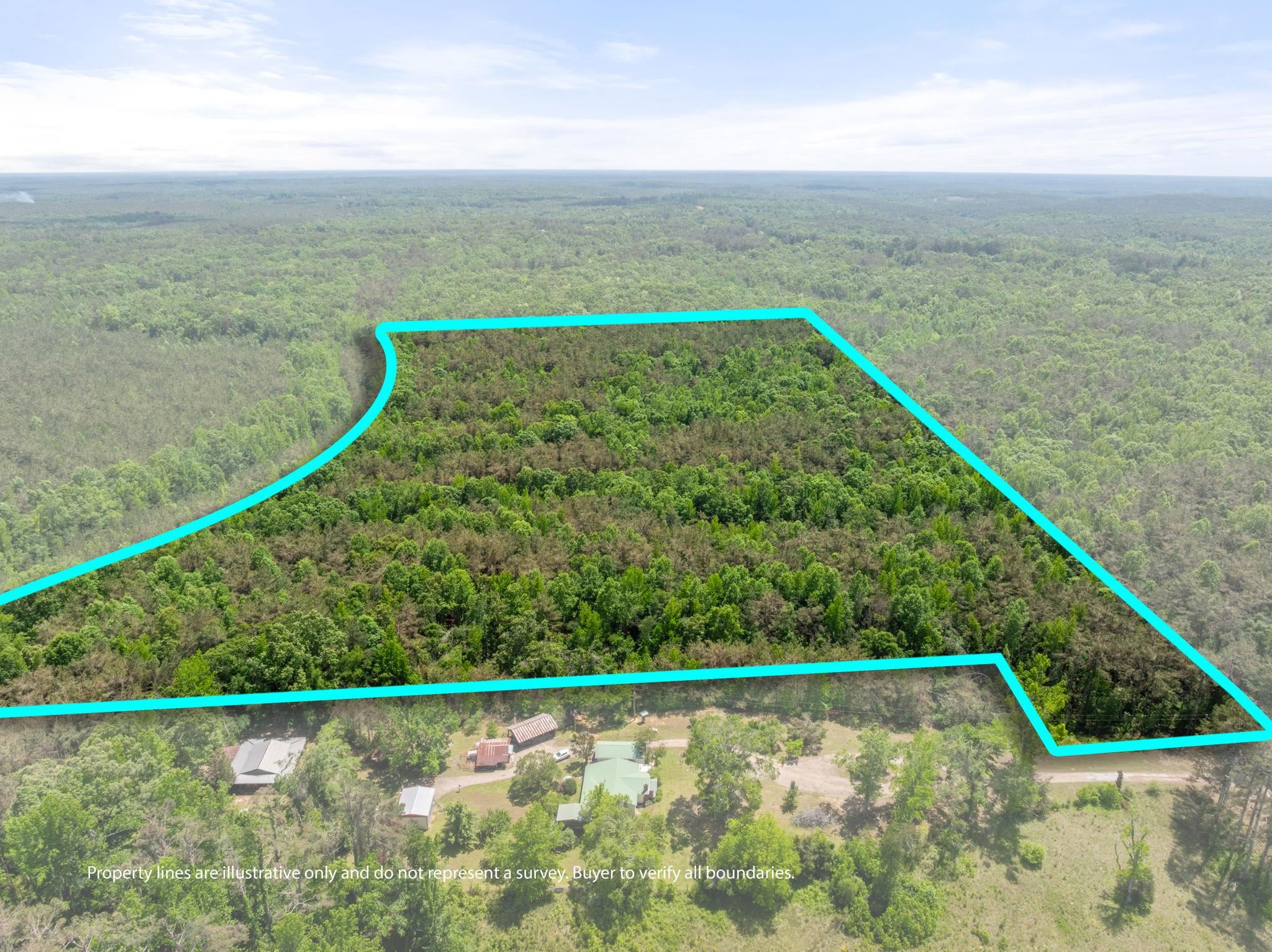 Tbd County Road 377 Rd Property Photo 1