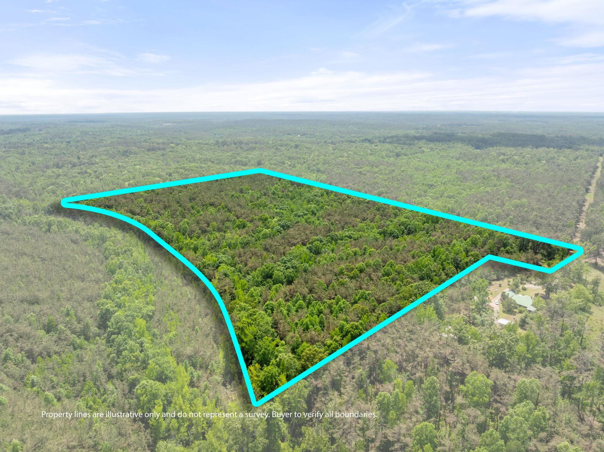Tbd County Road 377 Rd Property Photo 3