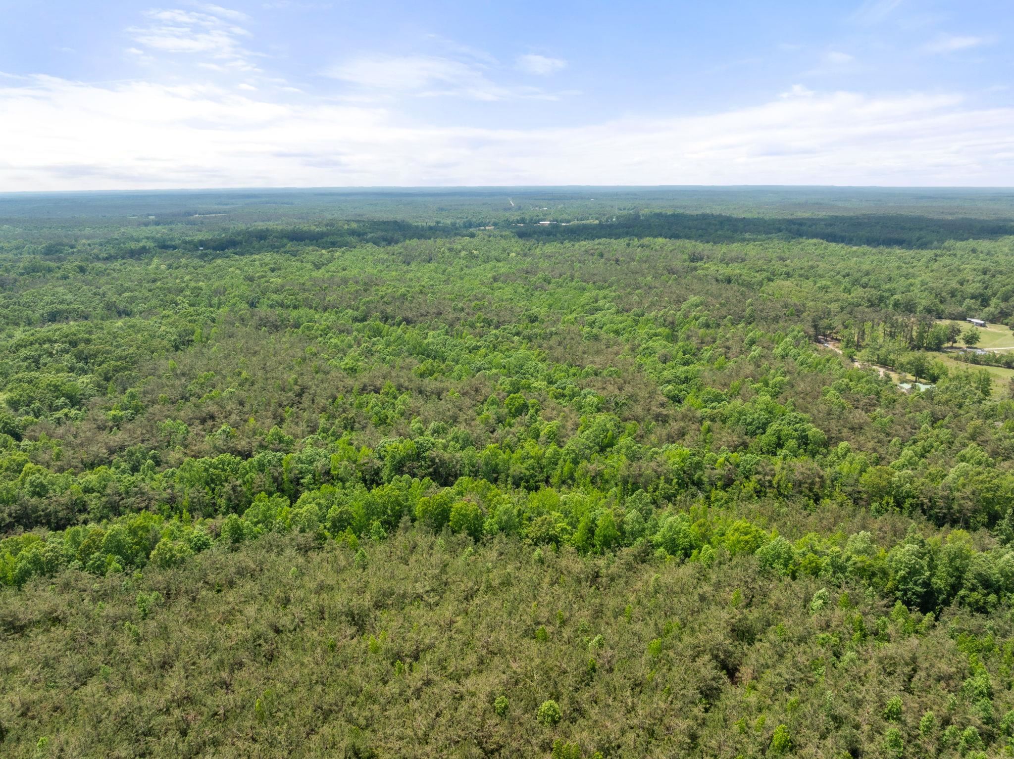 Tbd County Road 377 Rd Property Photo 6