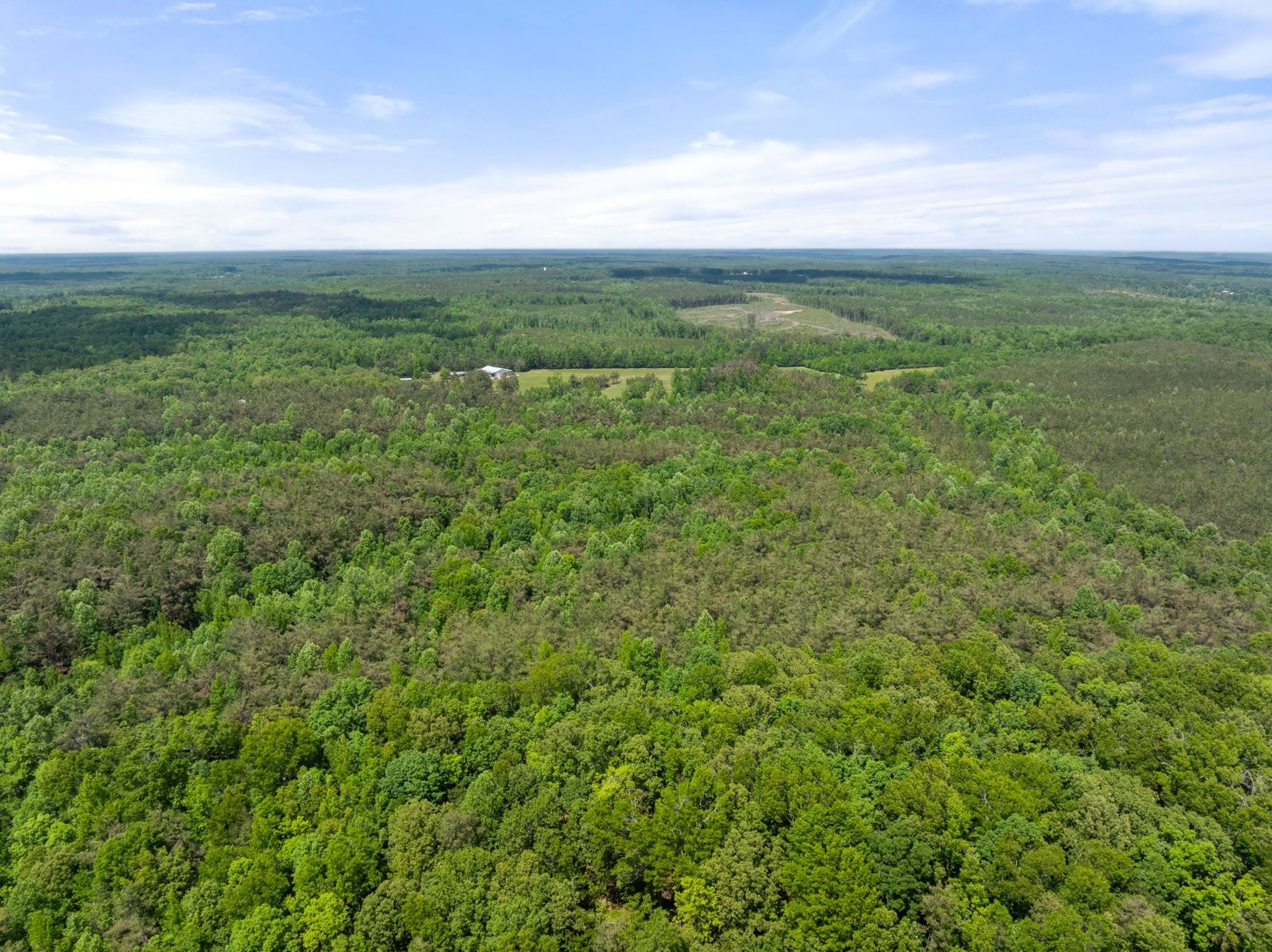 Tbd County Road 377 Rd Property Photo 10