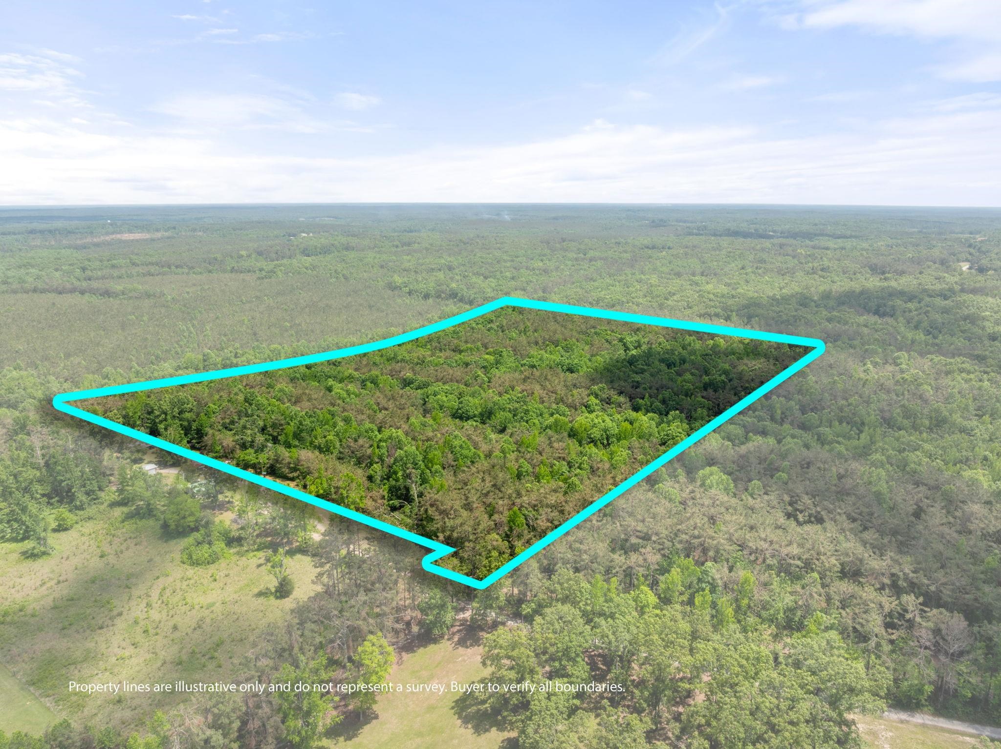 Tbd County Road 377 Rd Property Photo 15