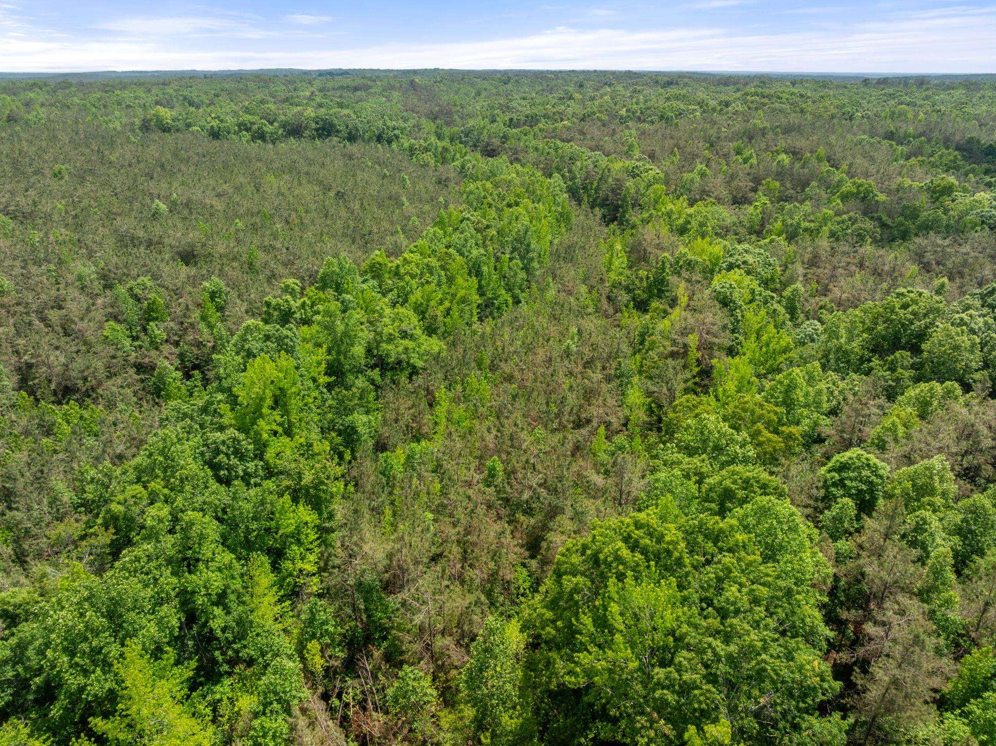 Tbd County Road 377 Rd Property Photo 17