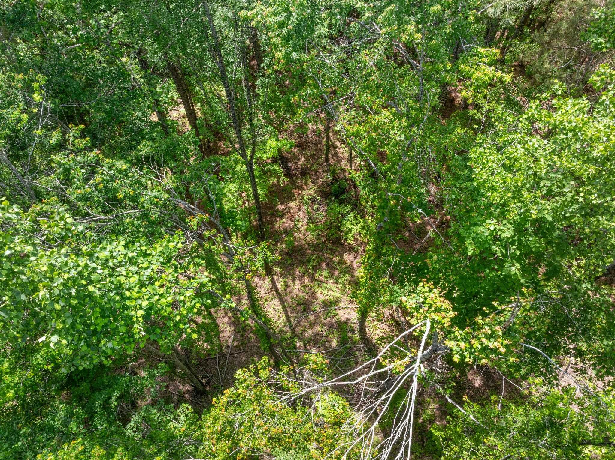 Tbd County Road 377 Rd Property Photo 20