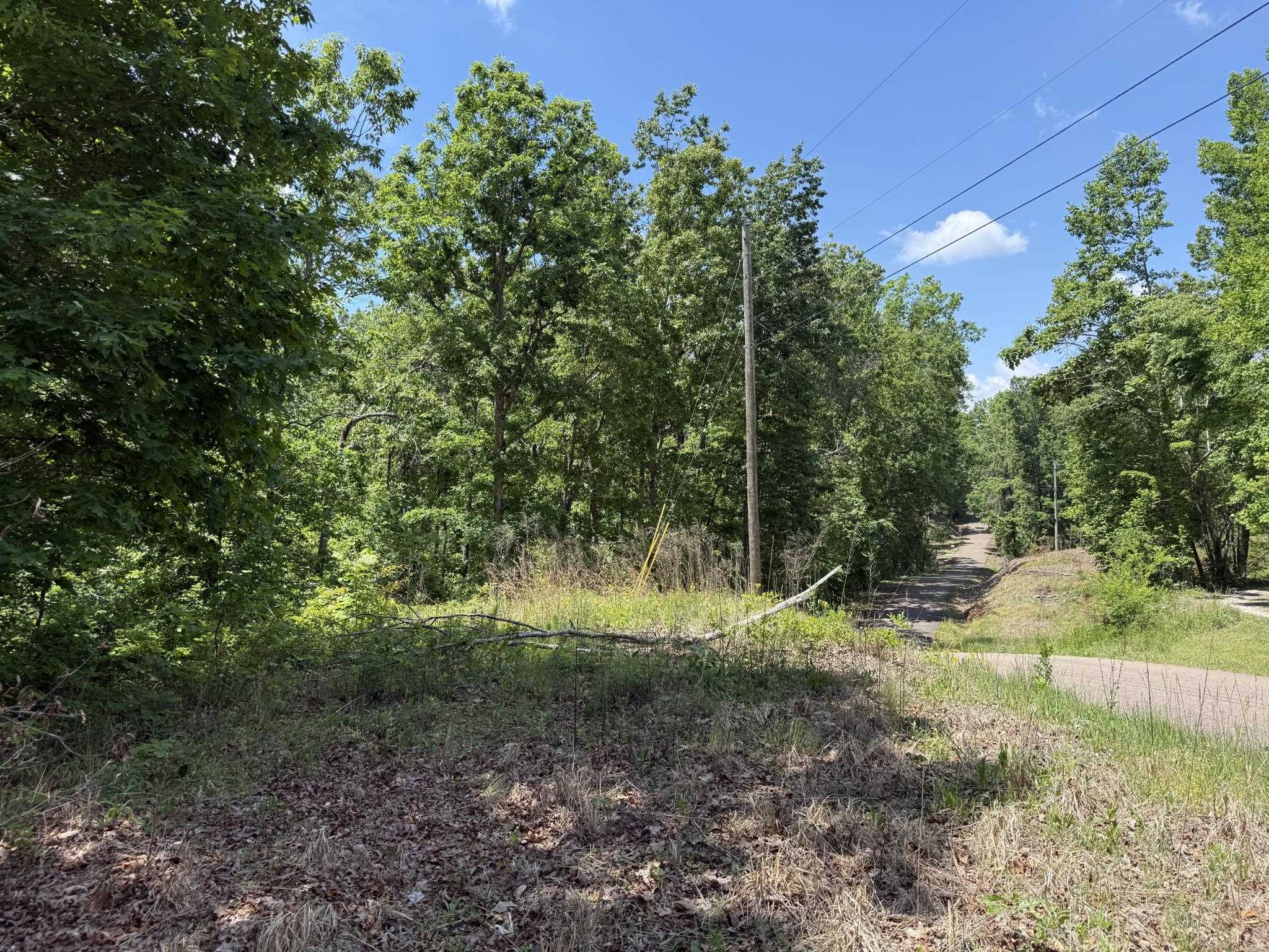 275 Mockingbird Ln Property Photo 13